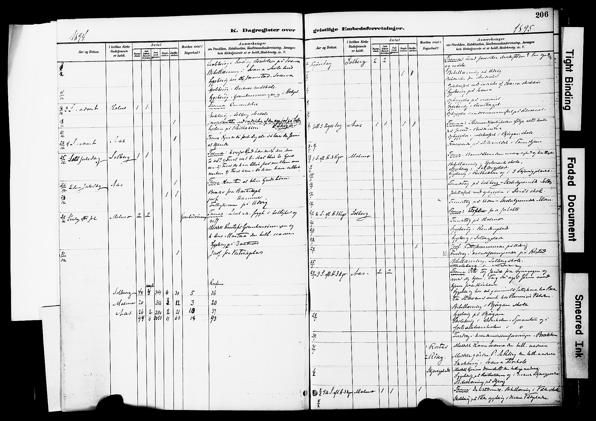 Ministerialprotokoller, klokkerbøker og fødselsregistre - Nord-Trøndelag, SAT/A-1458/741/L0396: Parish register (official) no. 741A10, 1889-1901, p. 206