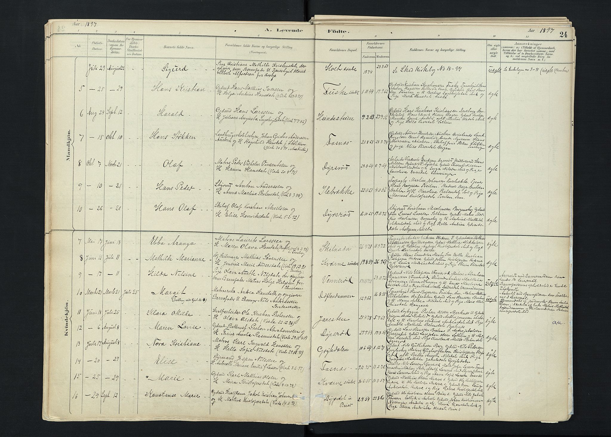 Stokke kirkebøker, SAKO/A-320/F/Fc/L0001: Parish register (official) no. III 1, 1884-1910, p. 24