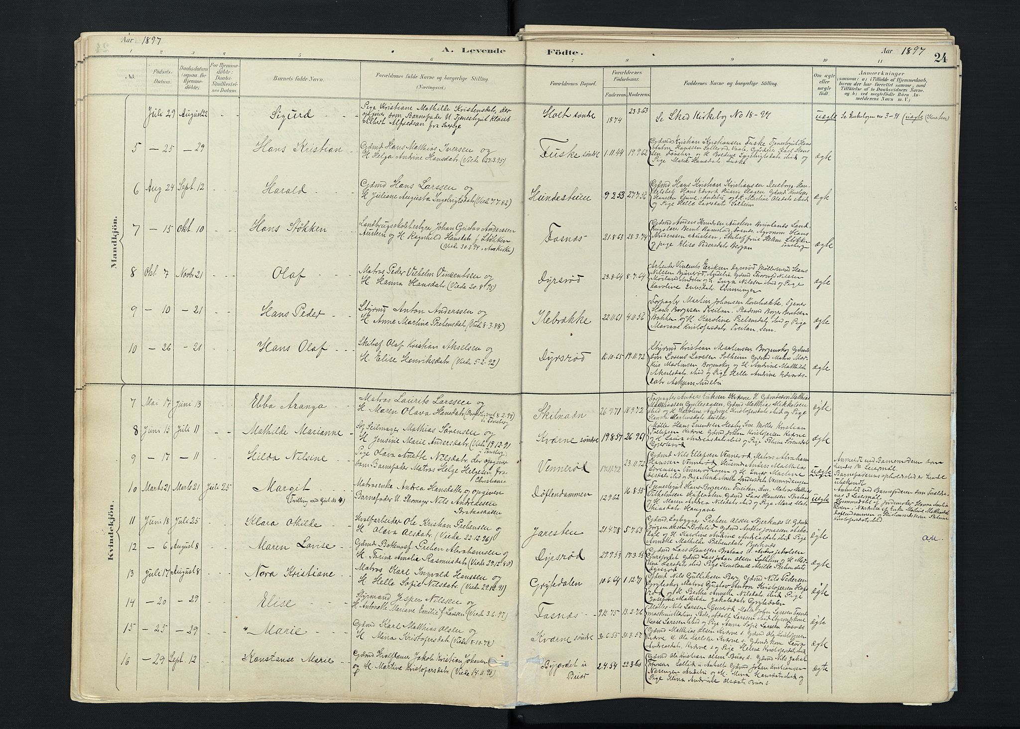 Stokke kirkebøker, AV/SAKO-A-320/F/Fc/L0001: Parish register (official) no. III 1, 1884-1910, p. 24