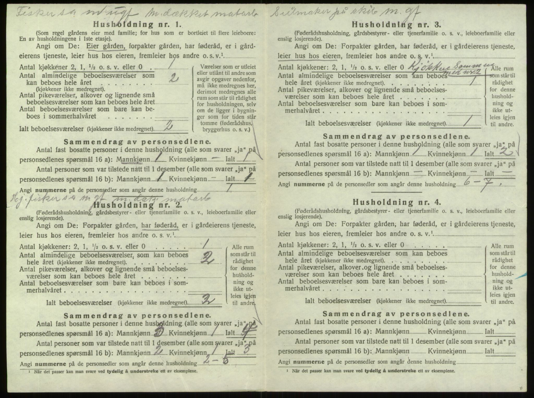 SAO, 1920 census for Hvaler, 1920, p. 1119