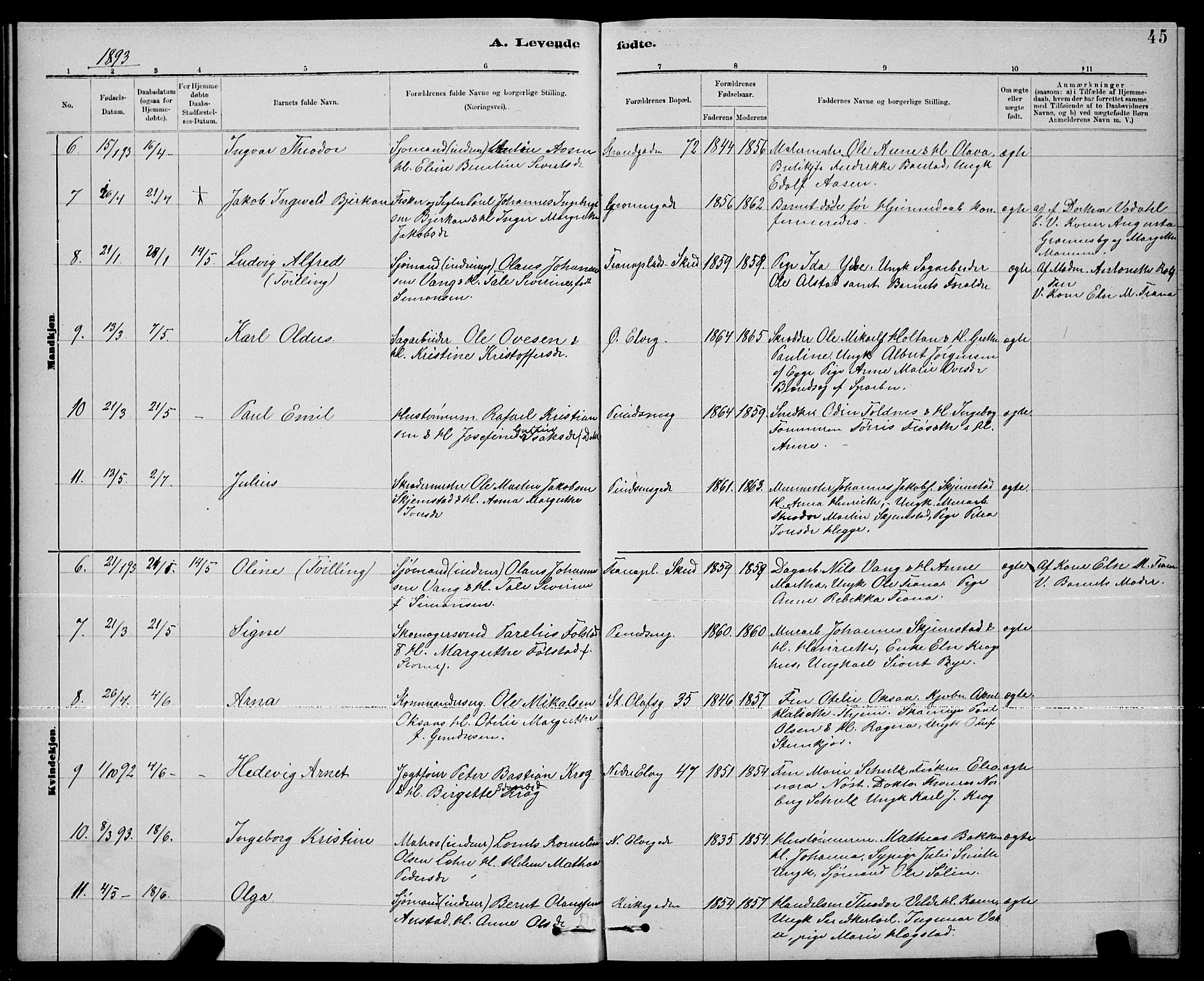 Ministerialprotokoller, klokkerbøker og fødselsregistre - Nord-Trøndelag, SAT/A-1458/739/L0374: Parish register (copy) no. 739C02, 1883-1898, p. 45