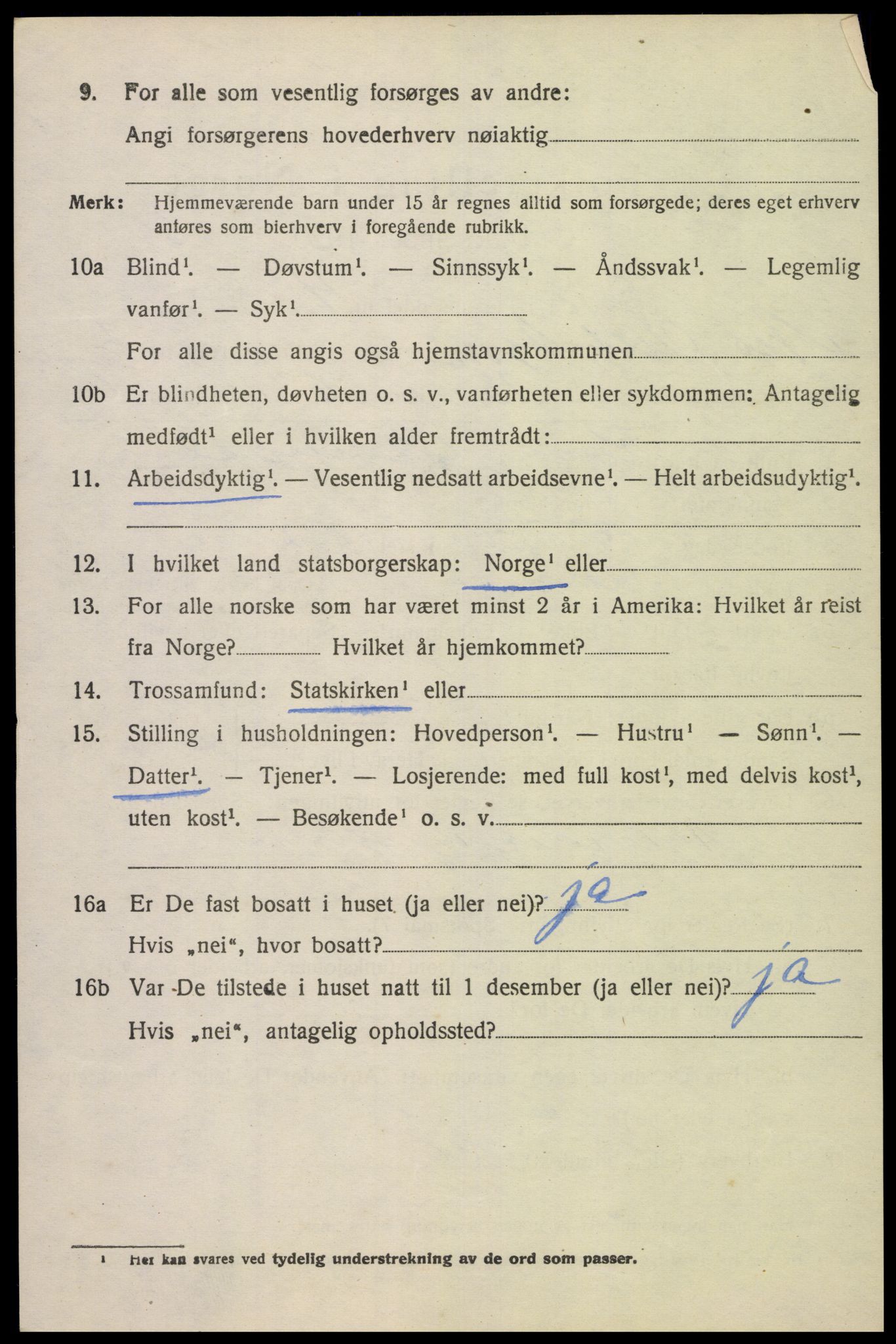 SAK, 1920 census for Nes (V-A), 1920, p. 1531