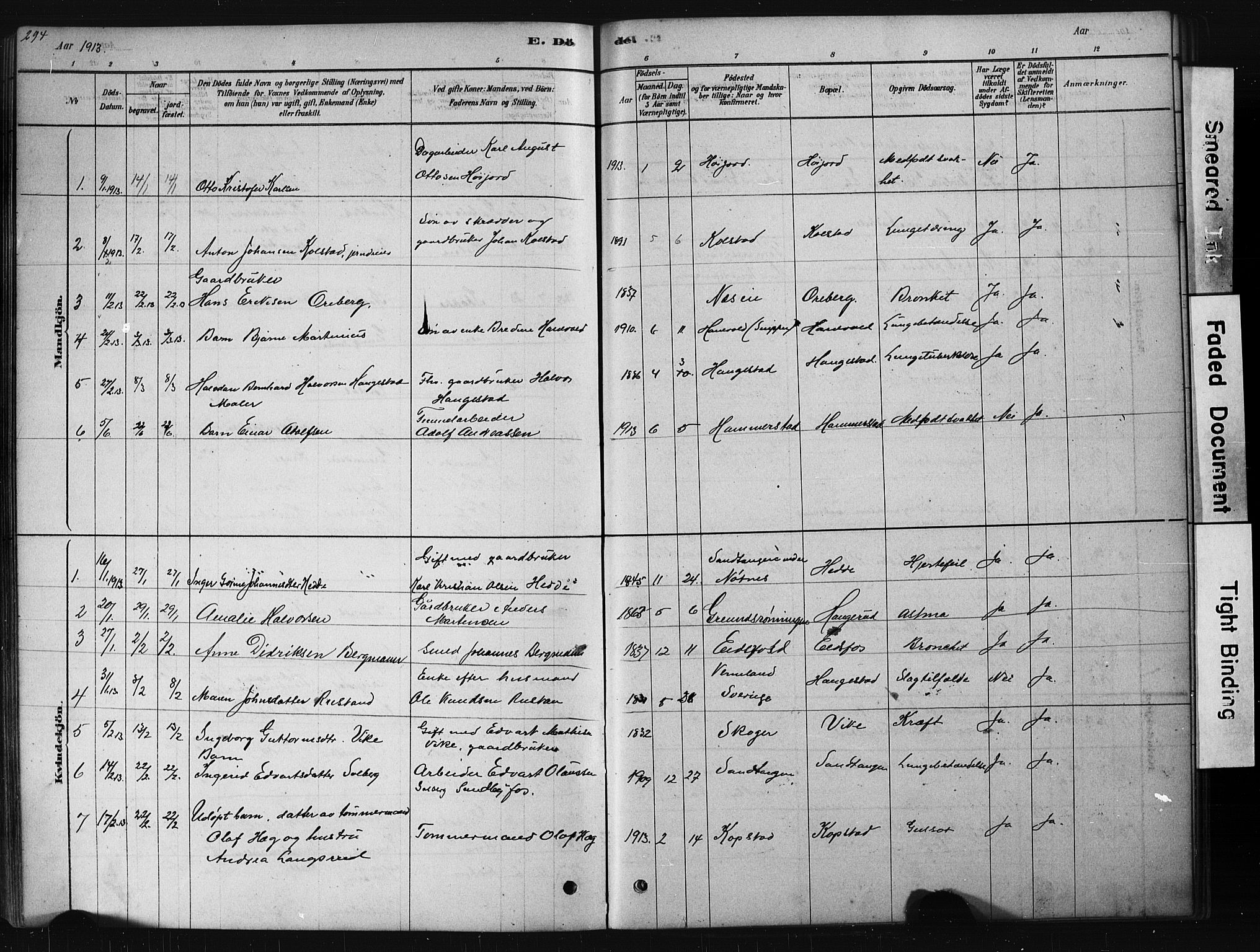 Hof kirkebøker, AV/SAKO-A-64/G/Ga/L0004: Parish register (copy) no. I 4, 1878-1930, p. 294