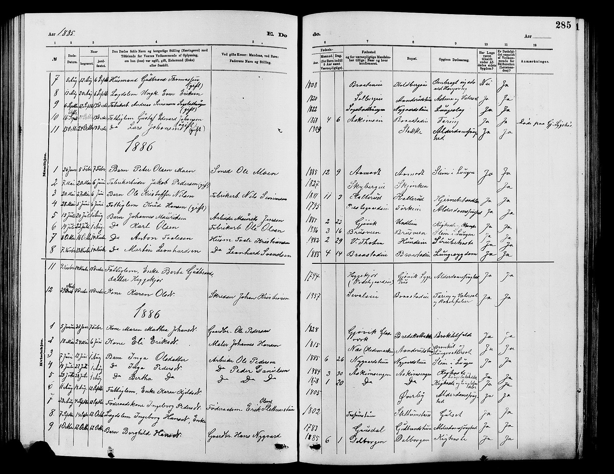 Vardal prestekontor, AV/SAH-PREST-100/H/Ha/Hab/L0007: Parish register (copy) no. 7 /1, 1881-1895, p. 285