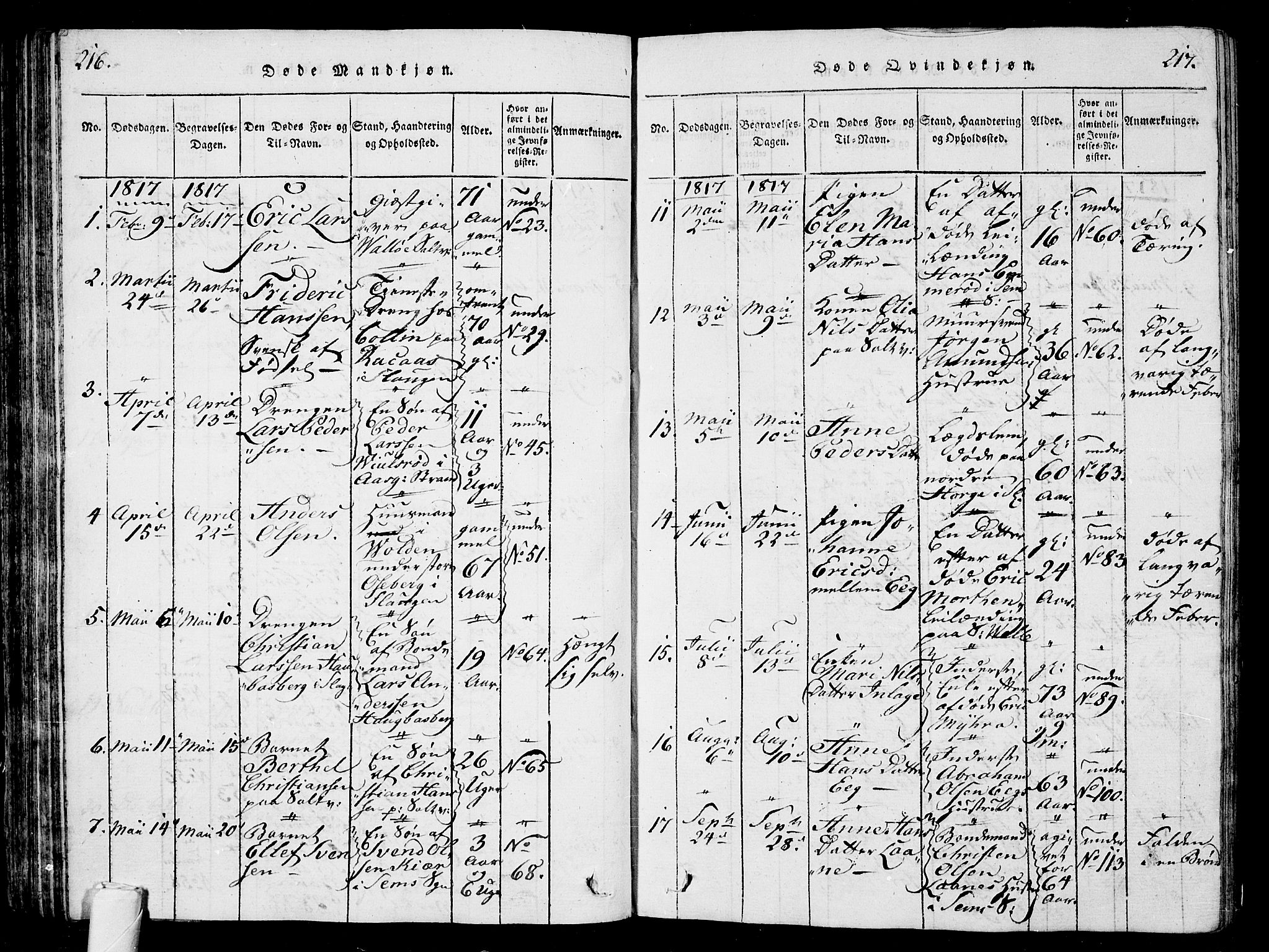 Sem kirkebøker, AV/SAKO-A-5/G/Ga/L0001: Parish register (copy) no. I 1, 1814-1825, p. 216-217