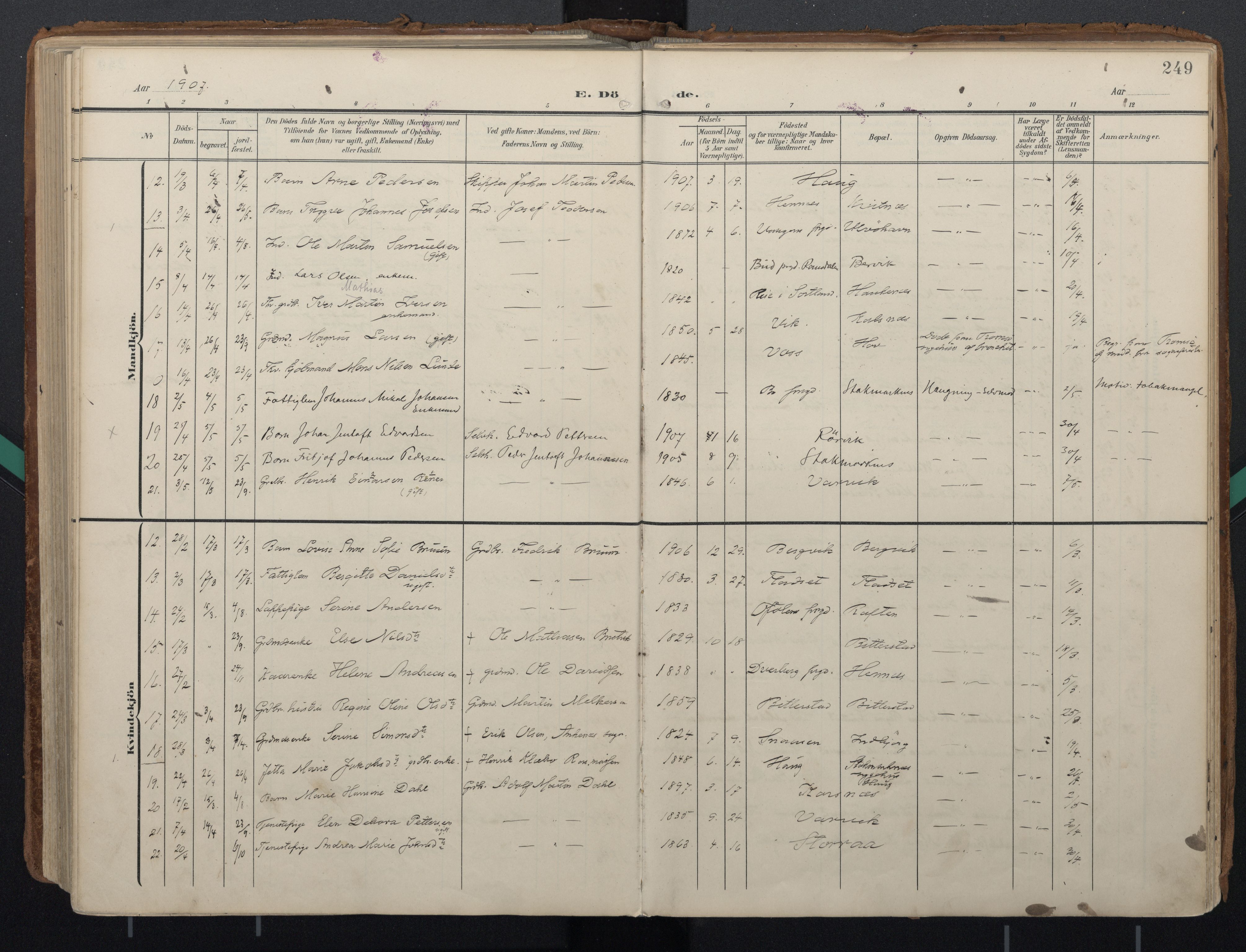 Ministerialprotokoller, klokkerbøker og fødselsregistre - Nordland, AV/SAT-A-1459/888/L1248: Parish register (official) no. 888A14, 1904-1913, p. 249