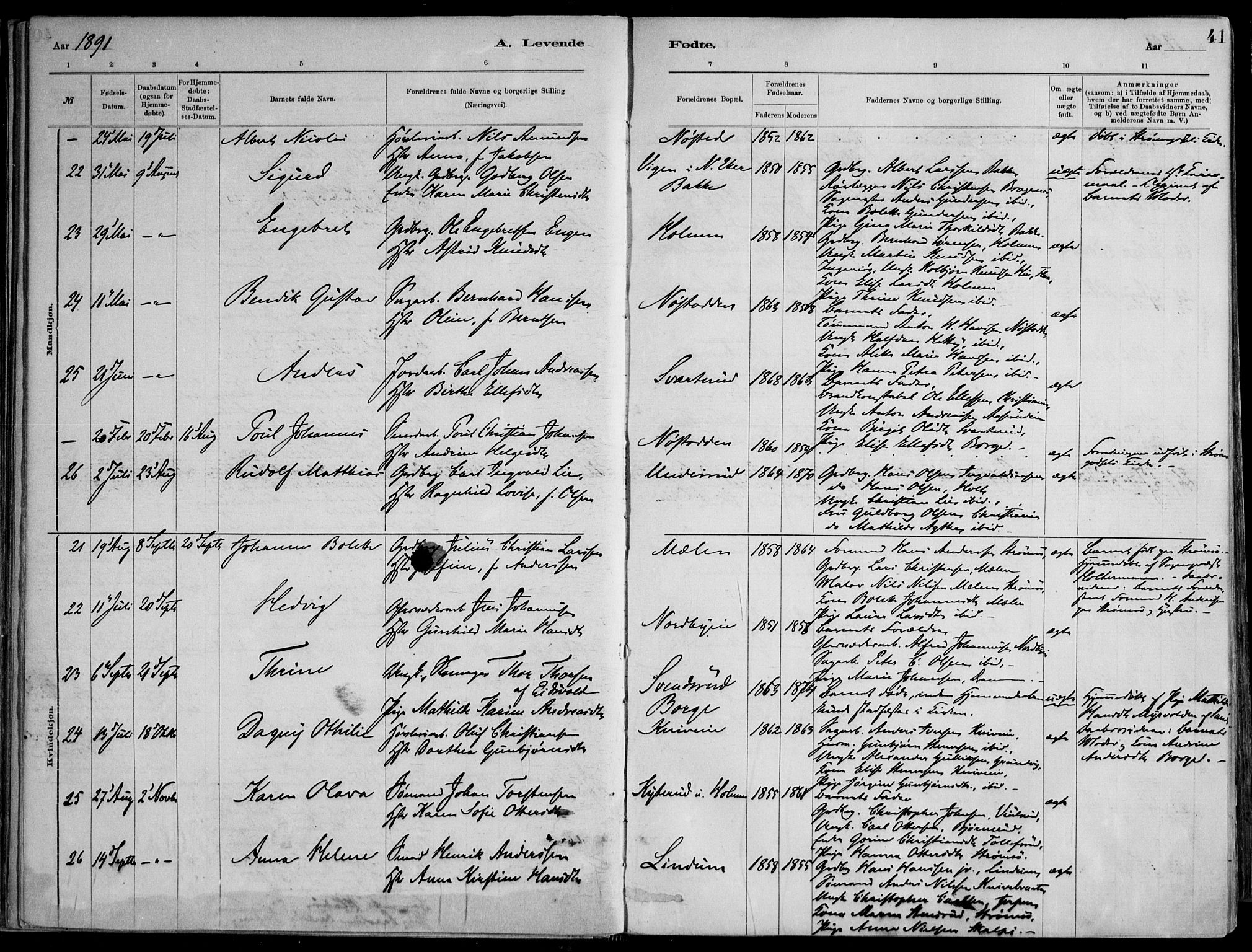 Skoger kirkebøker, AV/SAKO-A-59/F/Fa/L0006: Parish register (official) no. I 6, 1885-1910, p. 41