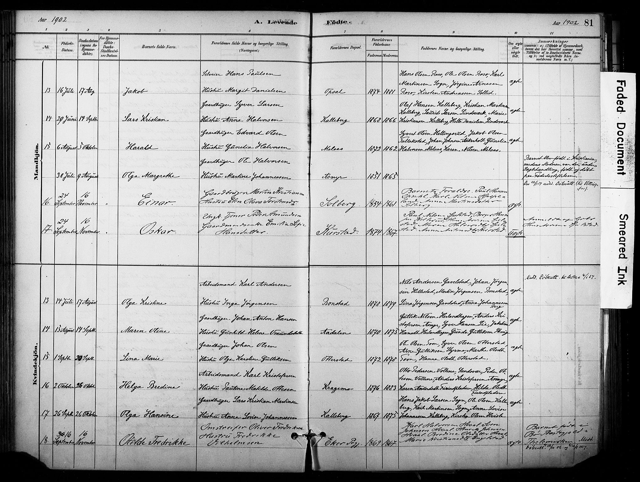 Lardal kirkebøker, AV/SAKO-A-350/F/Fb/L0001: Parish register (official) no. II 1, 1881-1911, p. 81