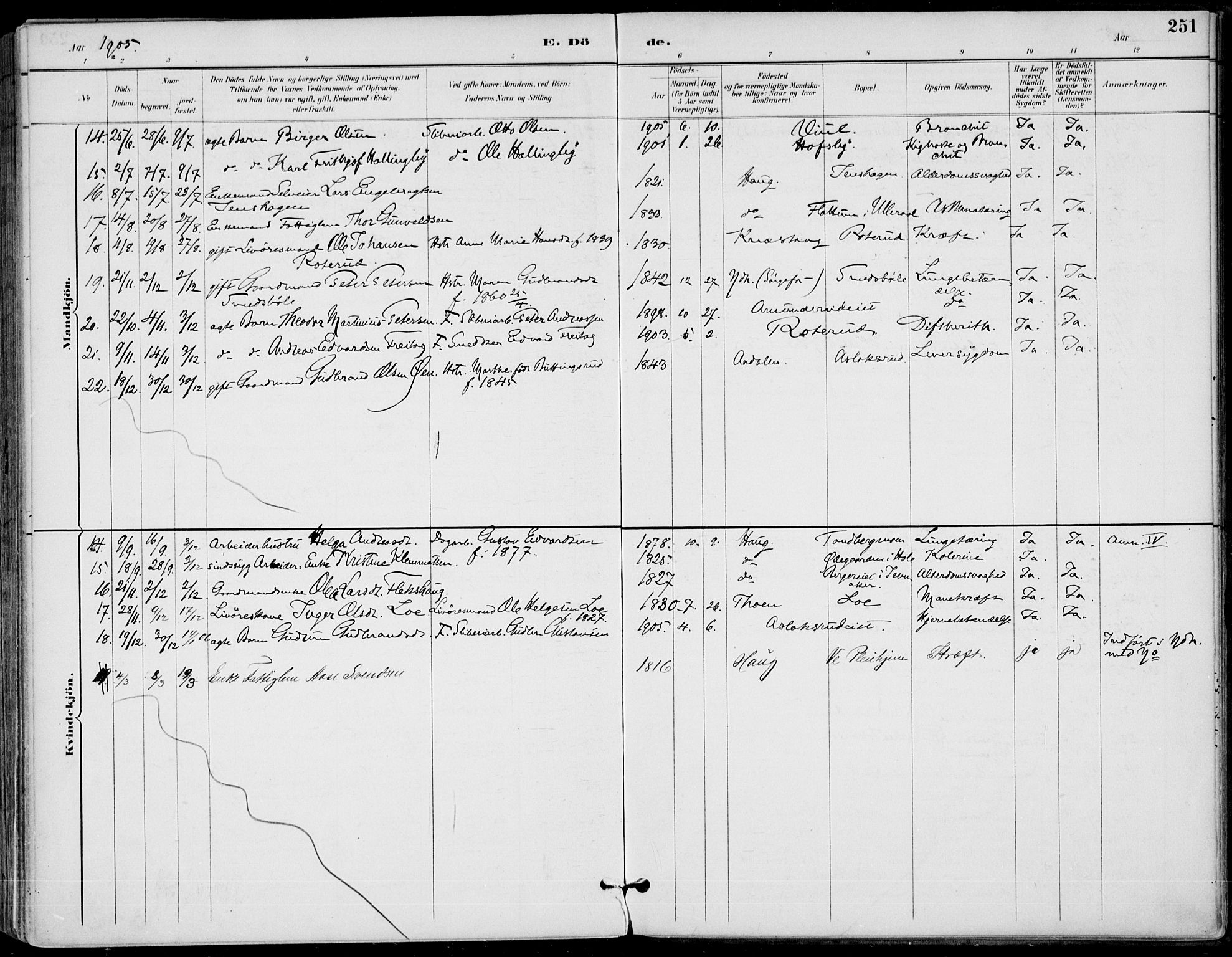 Haug kirkebøker, AV/SAKO-A-604/F/Fa/L0001: Parish register (official) no. 1, 1885-1917, p. 251