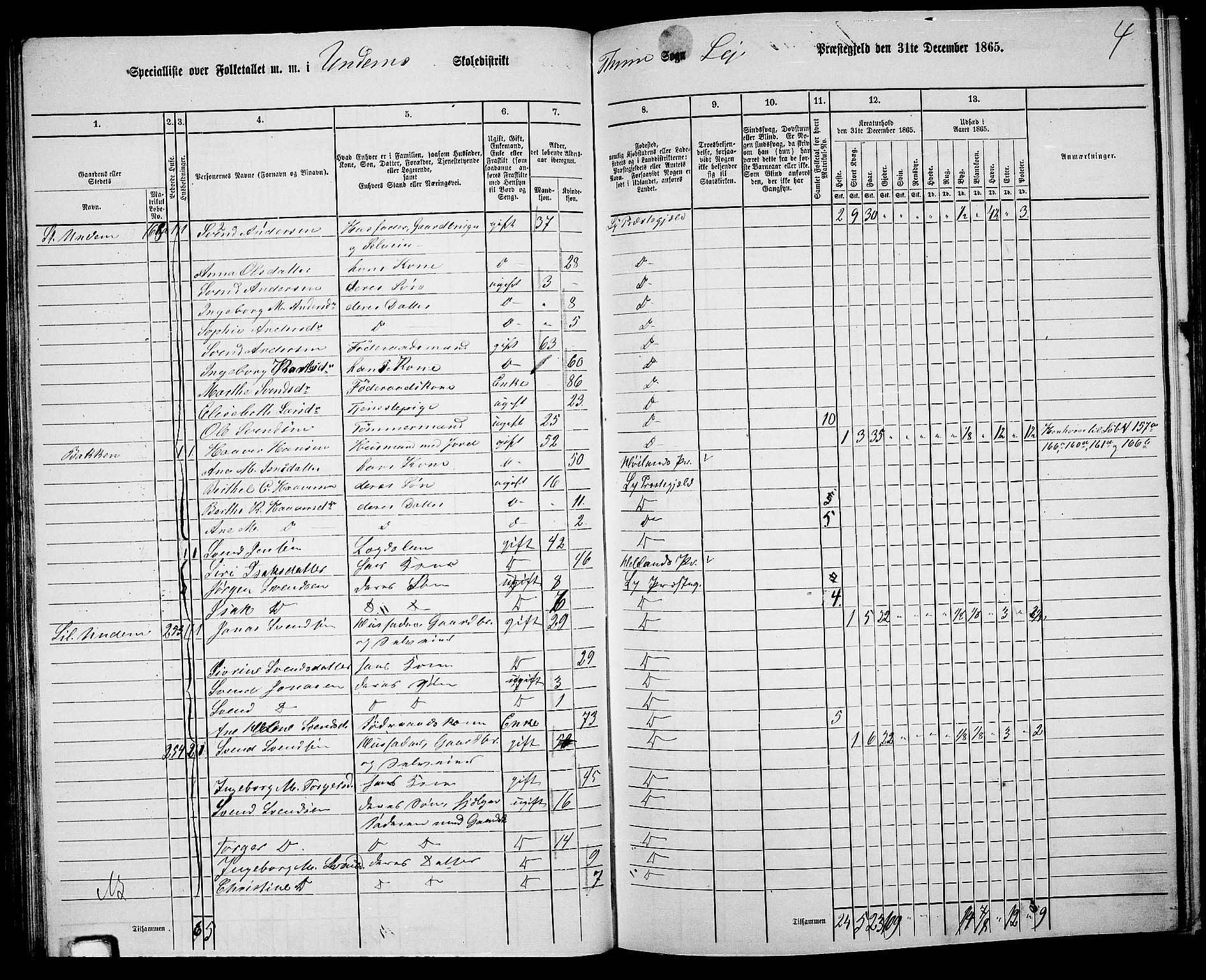 RA, 1865 census for Lye, 1865, p. 68