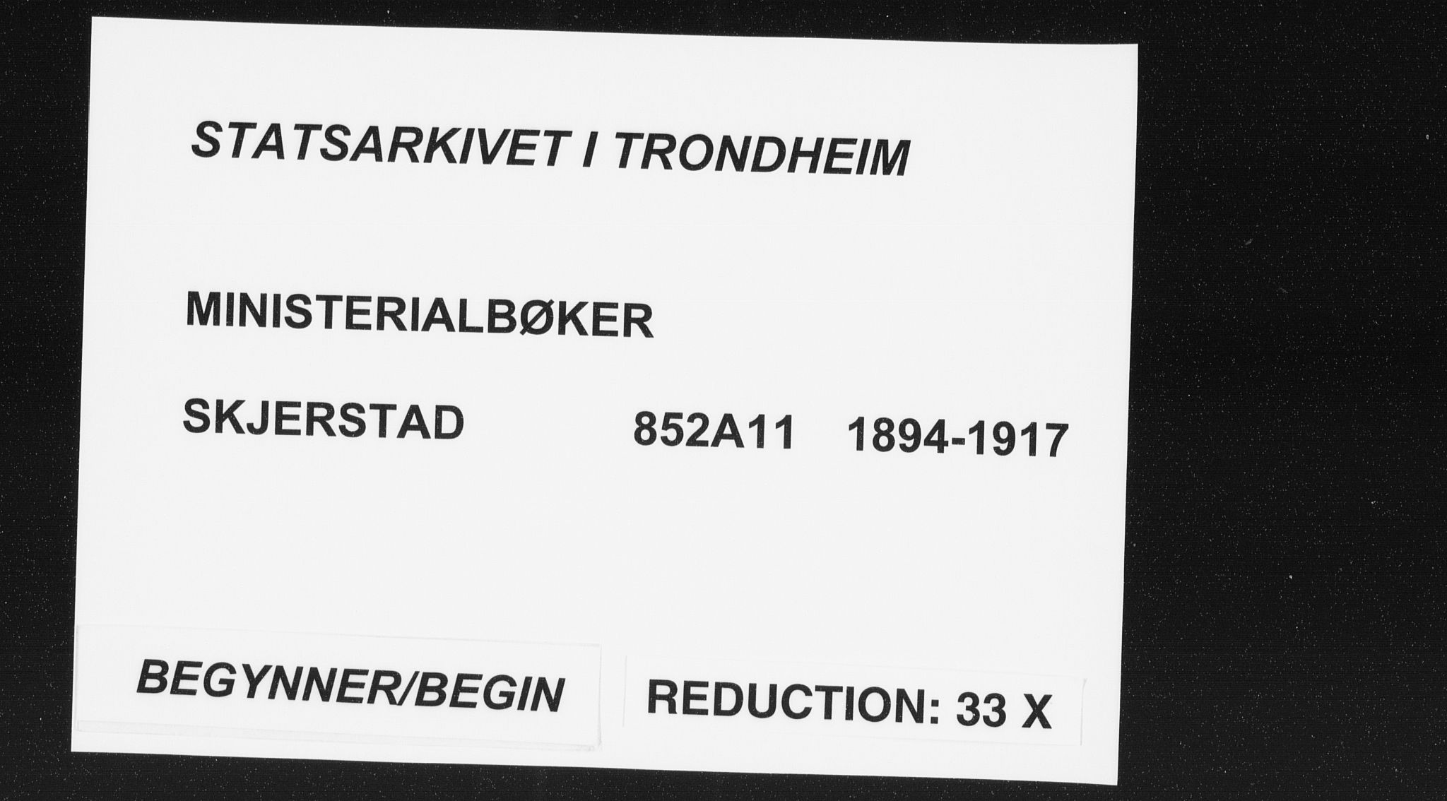 Ministerialprotokoller, klokkerbøker og fødselsregistre - Nordland, SAT/A-1459/852/L0741: Parish register (official) no. 852A11, 1894-1917