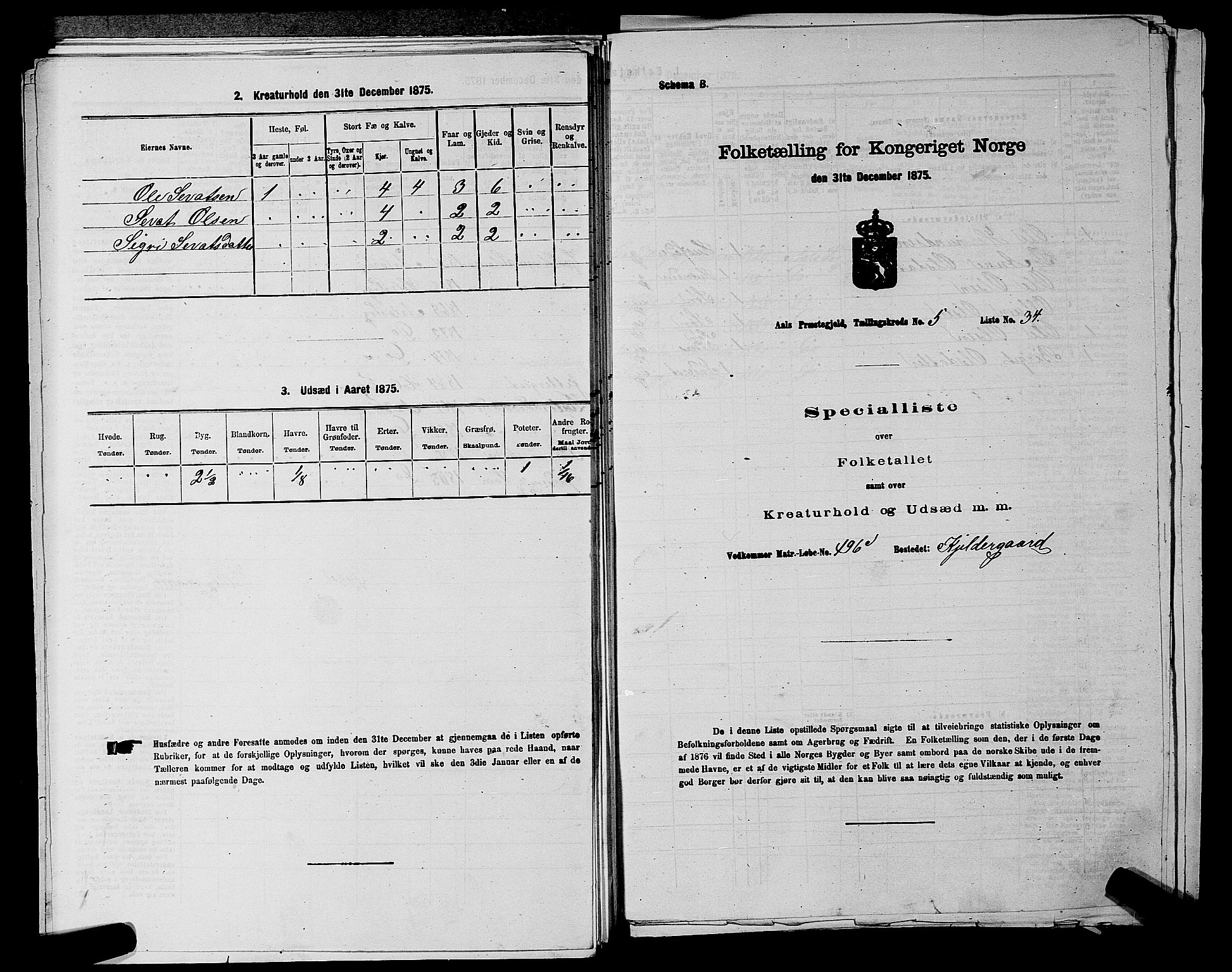 SAKO, 1875 census for 0619P Ål, 1875, p. 685