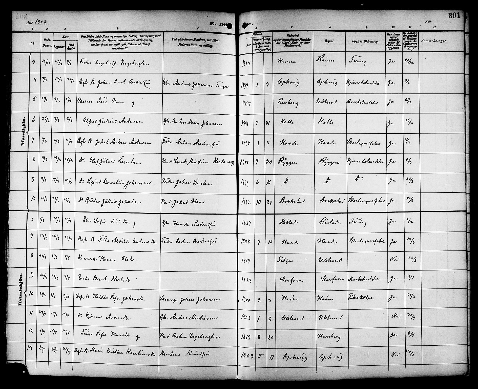 Ministerialprotokoller, klokkerbøker og fødselsregistre - Sør-Trøndelag, SAT/A-1456/659/L0746: Parish register (copy) no. 659C03, 1893-1912, p. 391