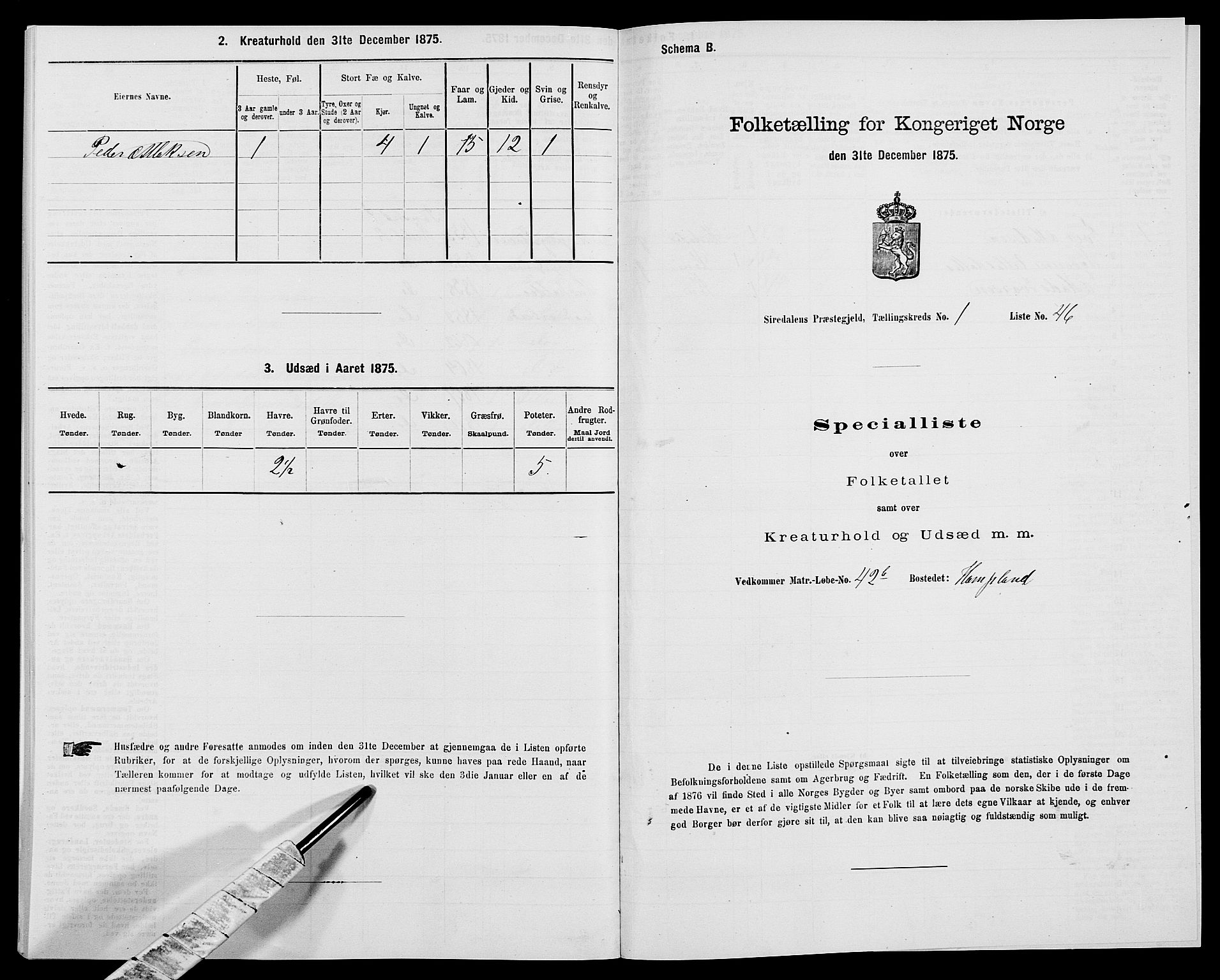 SAK, 1875 census for 1046P Sirdal, 1875, p. 133