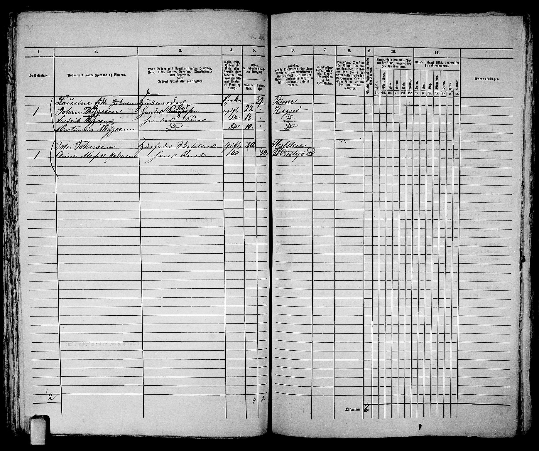 RA, 1865 census for Kragerø/Kragerø, 1865, p. 491