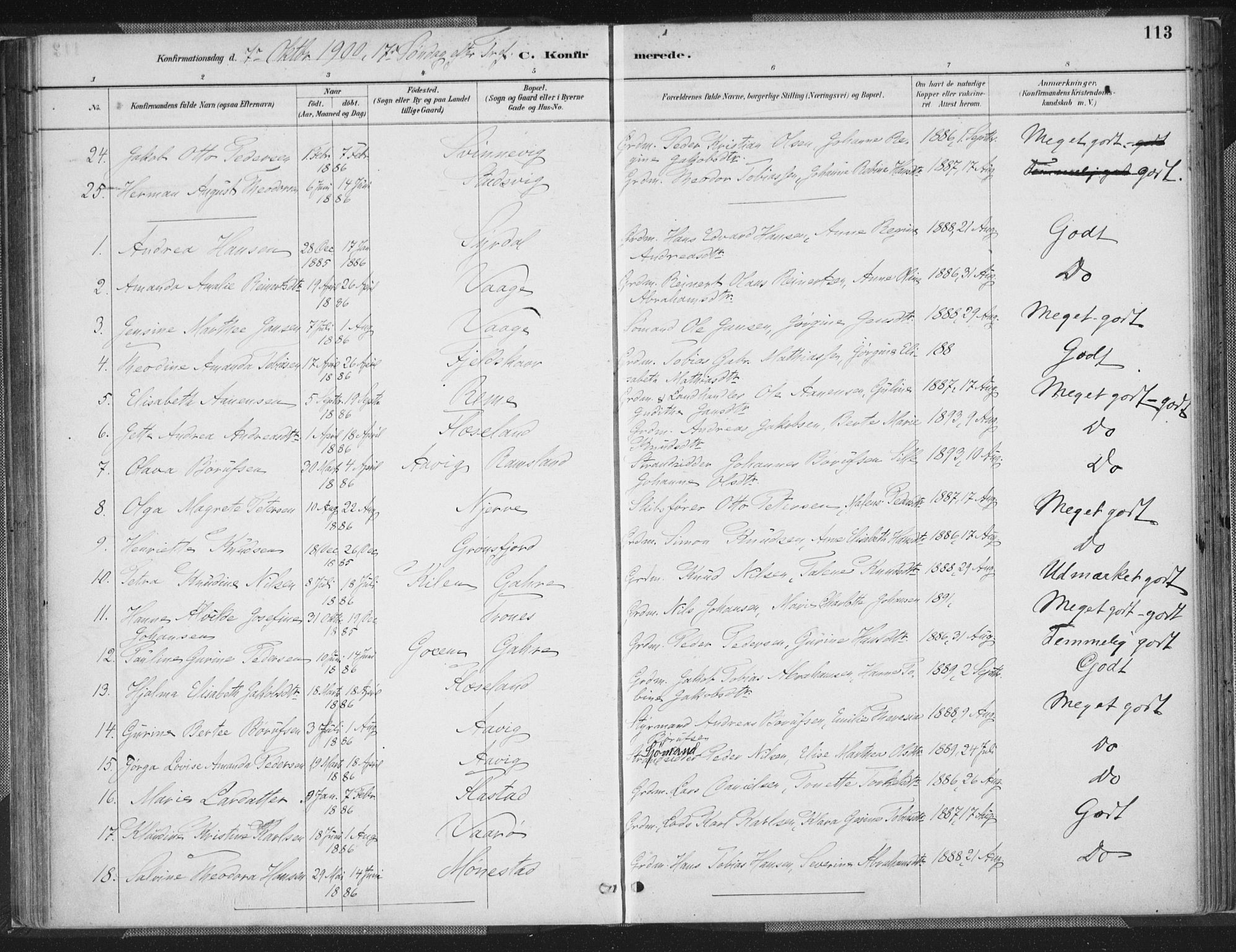 Sør-Audnedal sokneprestkontor, AV/SAK-1111-0039/F/Fa/Faa/L0004: Parish register (official) no. A 4, 1884-1909, p. 113