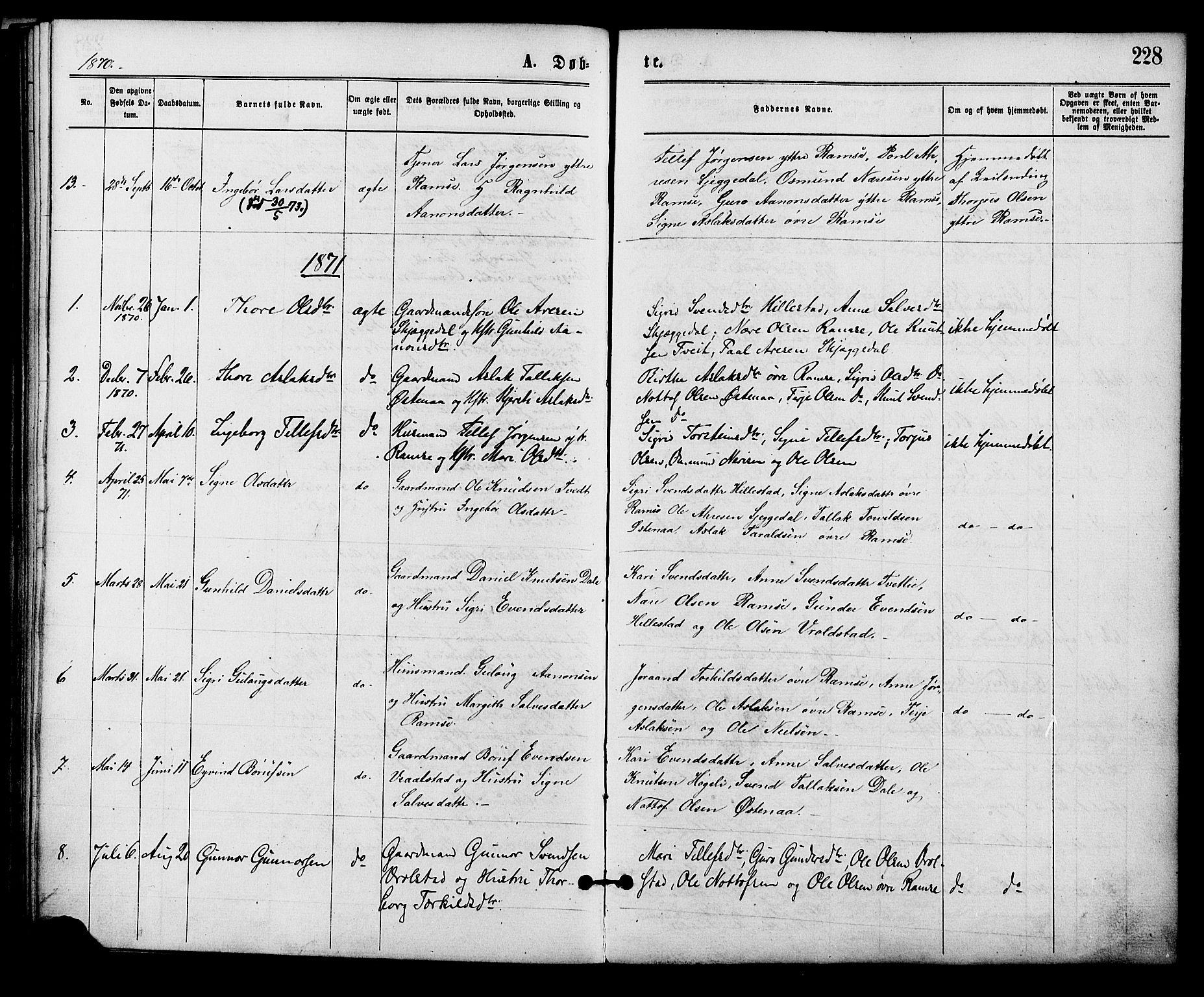 Åmli sokneprestkontor, SAK/1111-0050/F/Fa/Fac/L0009: Parish register (official) no. A 9 /3, 1869-1884, p. 228