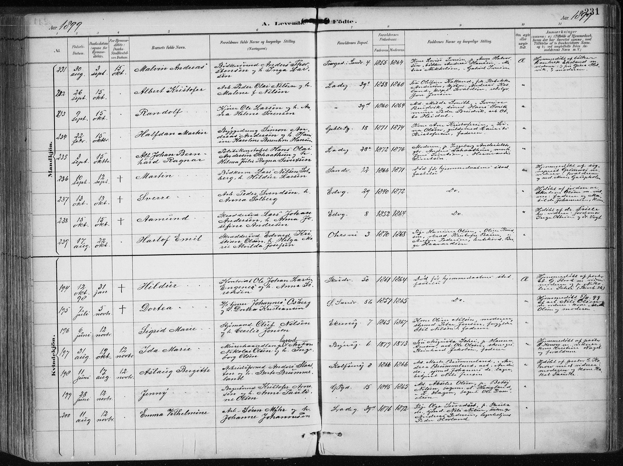 Sandviken Sokneprestembete, SAB/A-77601/H/Ha/L0005: Parish register (official) no. B 2, 1891-1901, p. 231