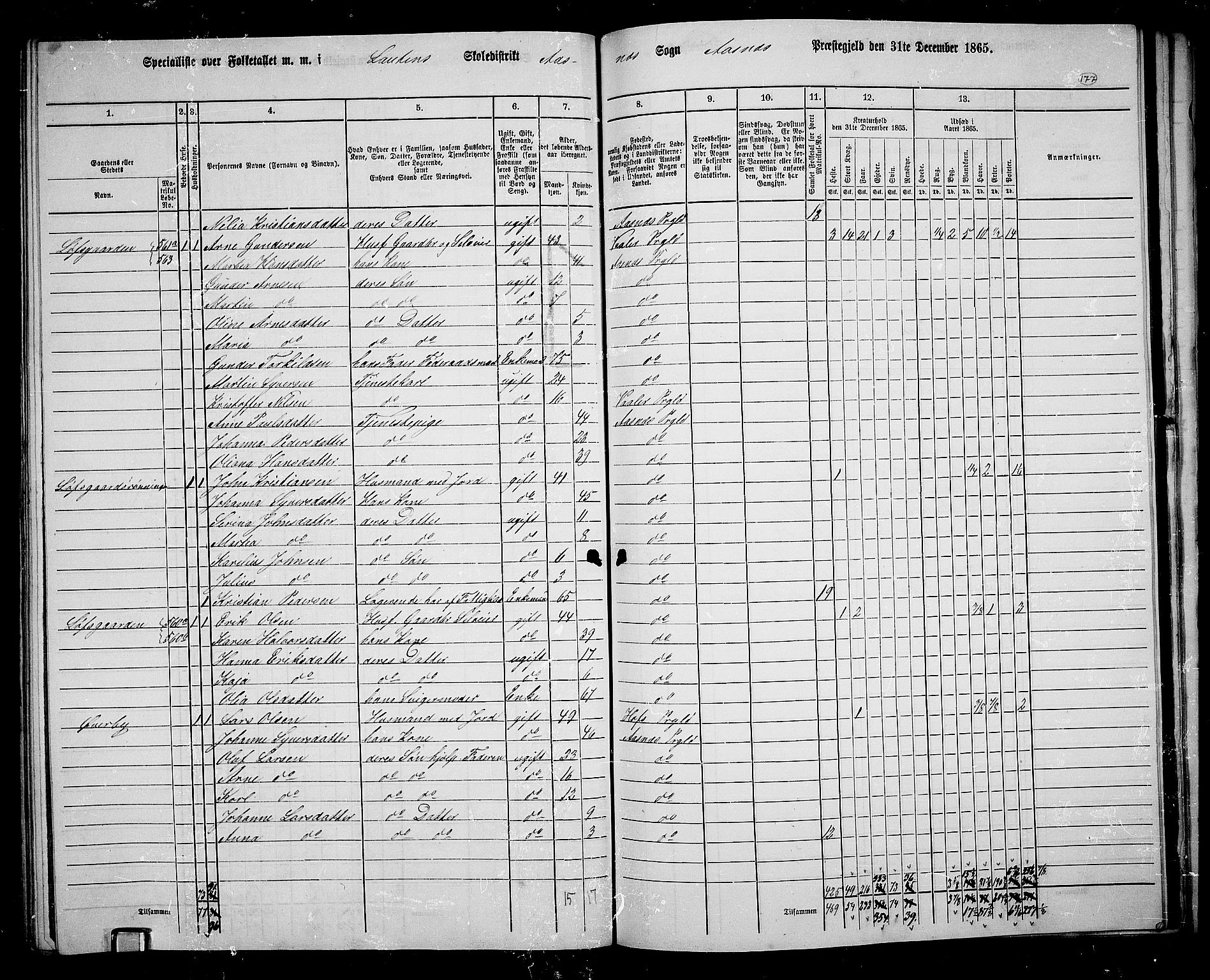 RA, 1865 census for Åsnes, 1865, p. 165