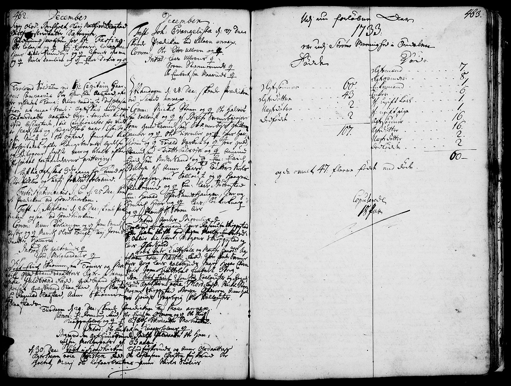 Strøm-Odalen prestekontor, SAH/PREST-028/H/Ha/Haa/L0002: Parish register (official) no. 2, 1716-1740, p. 462-463