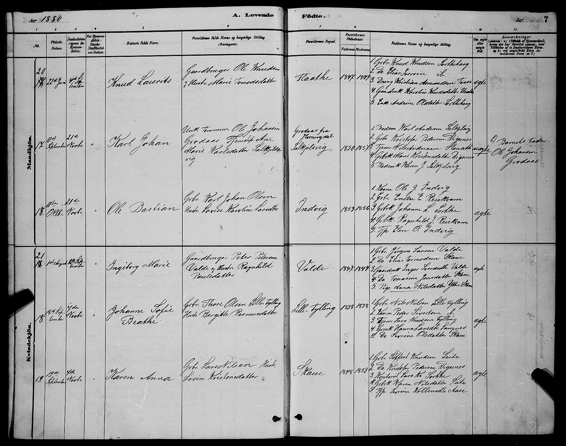 Ministerialprotokoller, klokkerbøker og fødselsregistre - Møre og Romsdal, AV/SAT-A-1454/524/L0365: Parish register (copy) no. 524C06, 1880-1899, p. 7