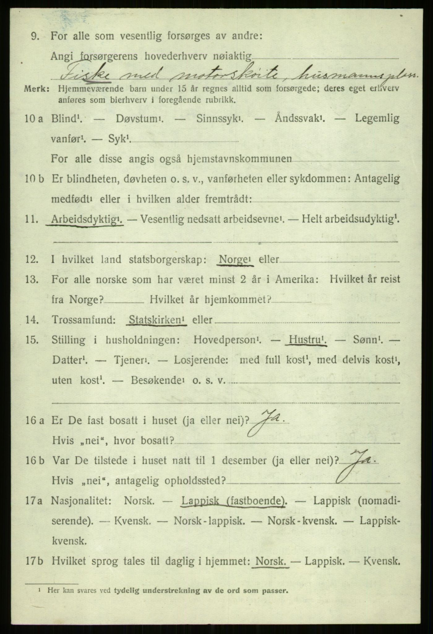 SATØ, 1920 census for Ibestad, 1920, p. 11266