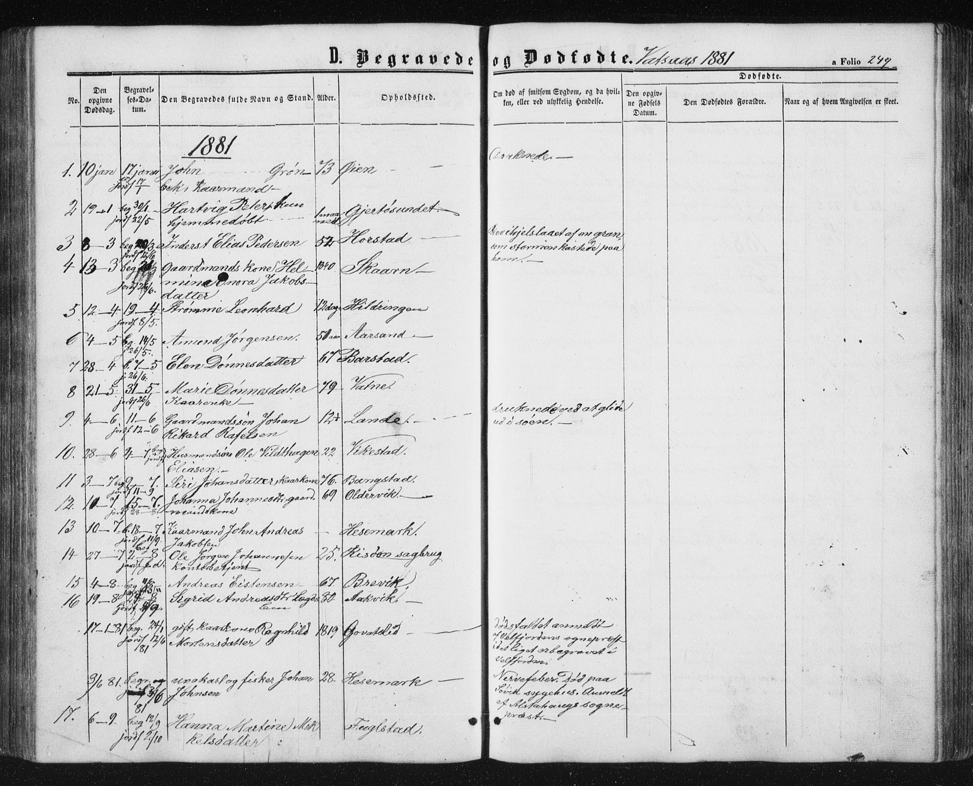 Ministerialprotokoller, klokkerbøker og fødselsregistre - Nordland, AV/SAT-A-1459/810/L0158: Parish register (copy) no. 810C02 /1, 1863-1883, p. 249