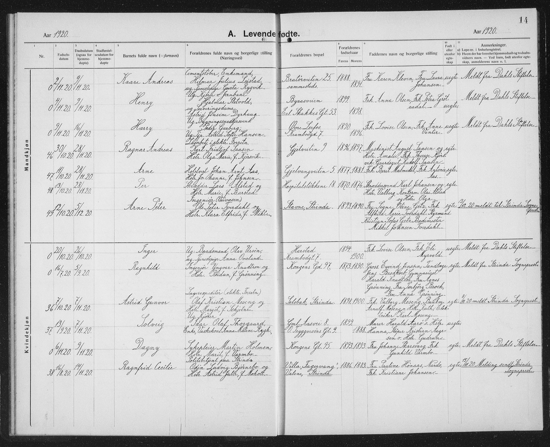 Ministerialprotokoller, klokkerbøker og fødselsregistre - Sør-Trøndelag, SAT/A-1456/602/L0148: Parish register (copy) no. 602C16, 1919-1939, p. 14