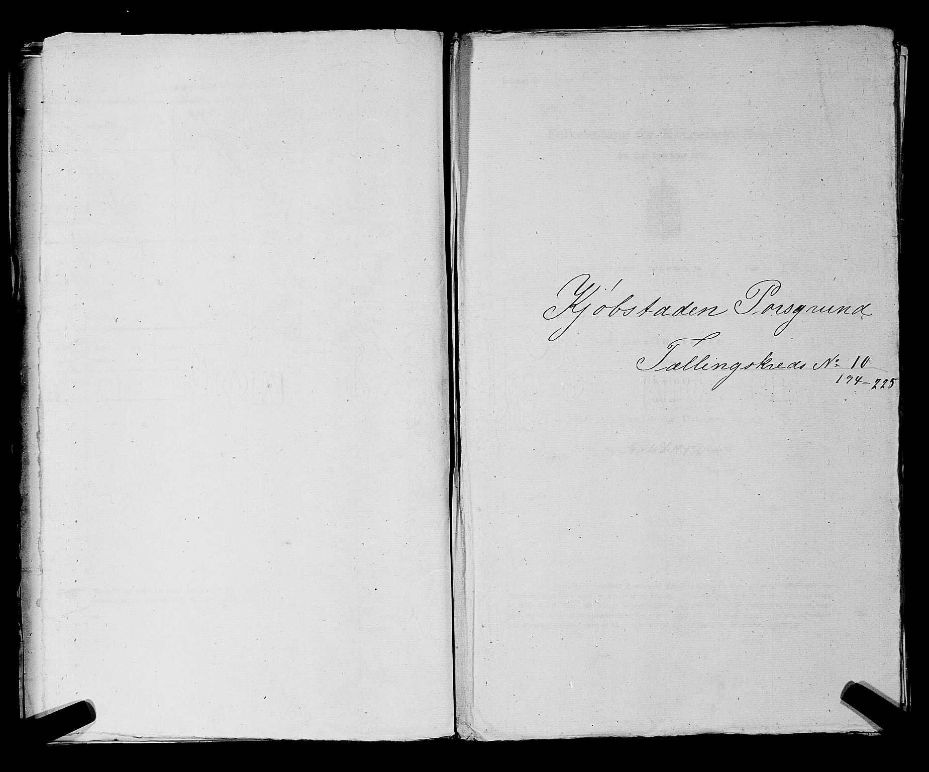 SAKO, 1875 census for 0805P Porsgrunn, 1875, p. 452