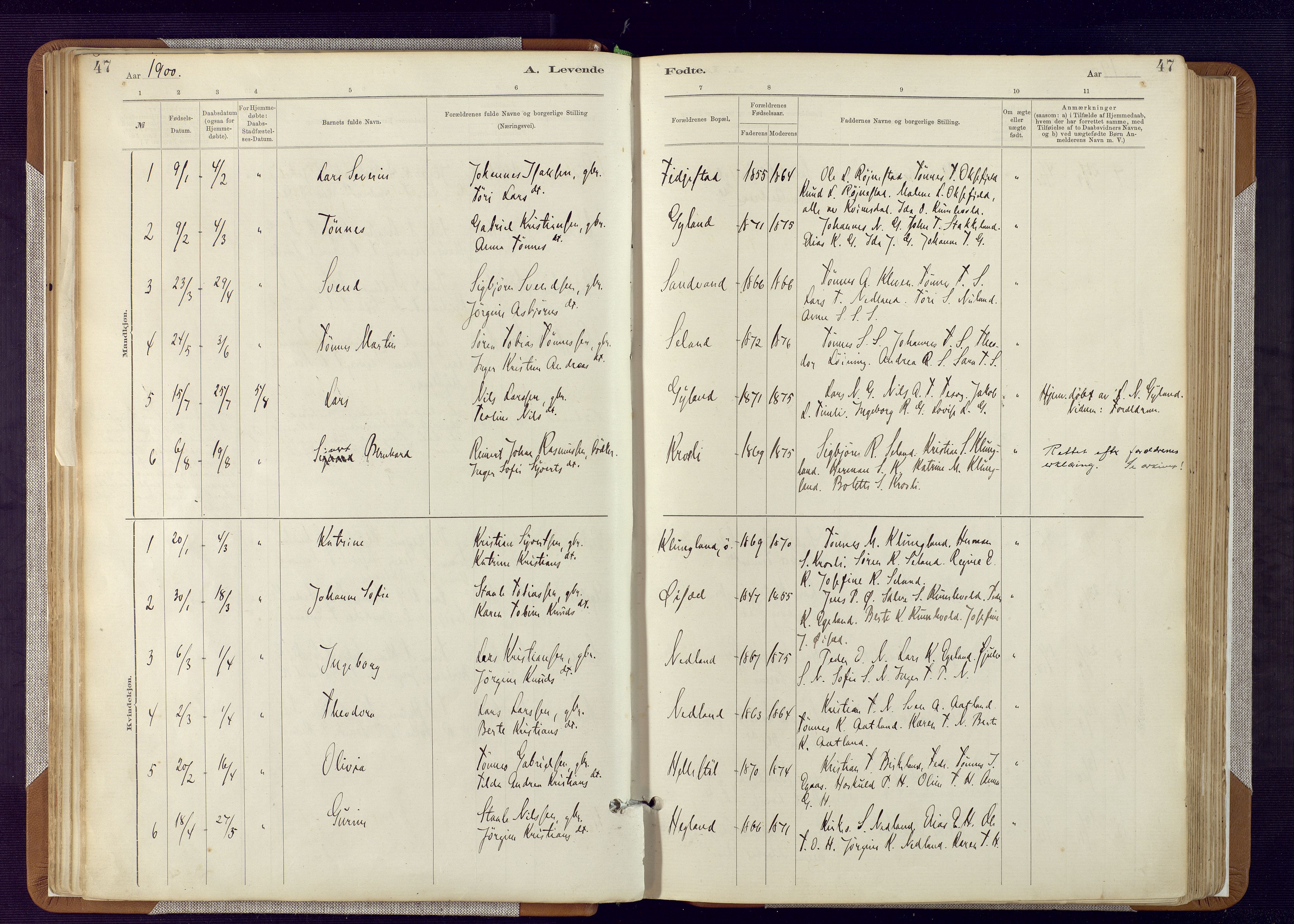 Bakke sokneprestkontor, AV/SAK-1111-0002/F/Fa/Fab/L0003: Parish register (official) no. A 3, 1884-1921, p. 47