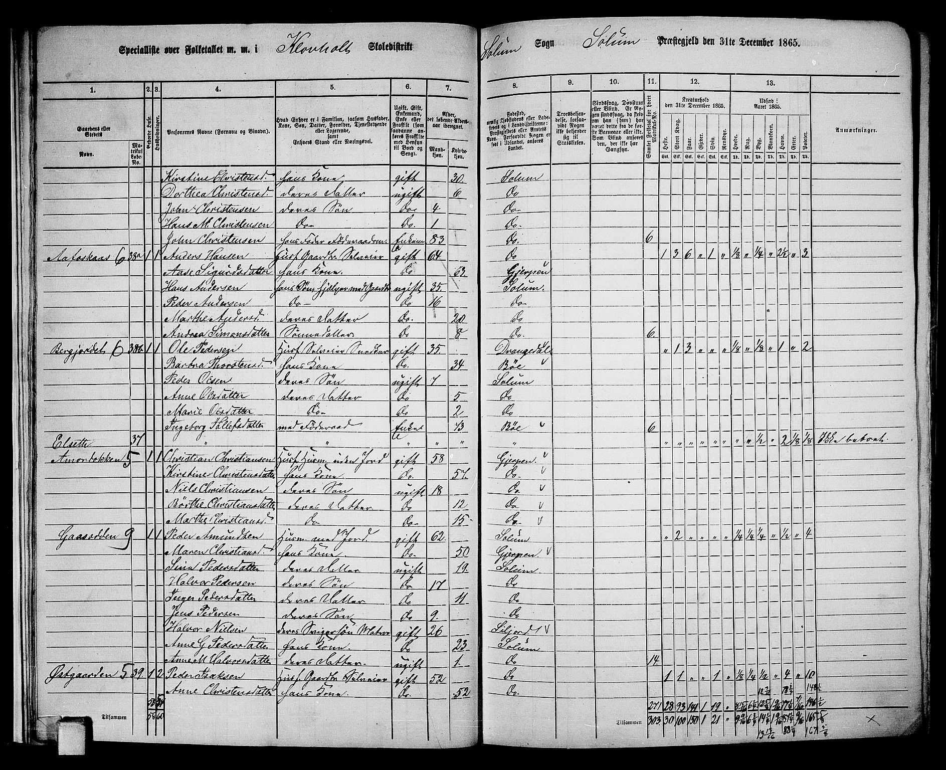 RA, 1865 census for Solum, 1865, p. 25