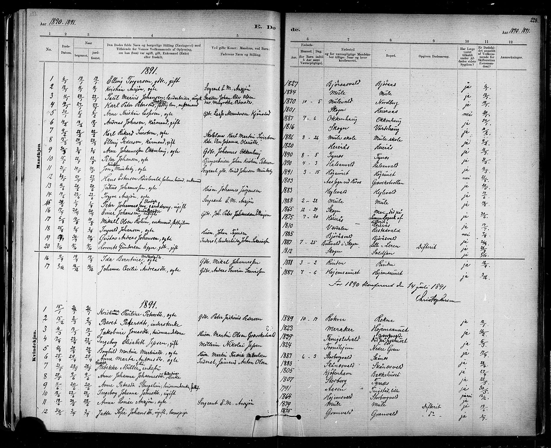 Ministerialprotokoller, klokkerbøker og fødselsregistre - Nord-Trøndelag, SAT/A-1458/721/L0208: Parish register (copy) no. 721C01, 1880-1917, p. 228