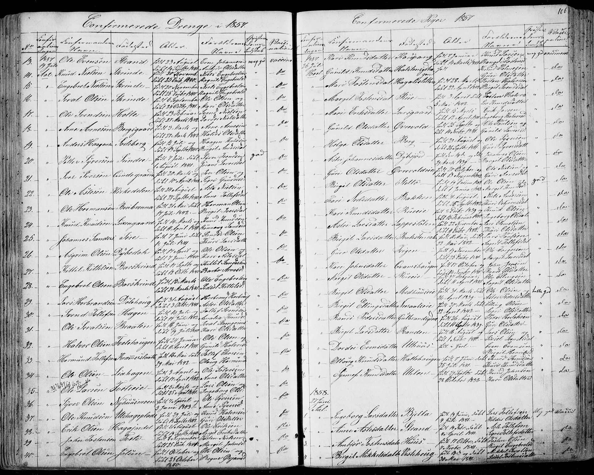 Ål kirkebøker, AV/SAKO-A-249/F/Fa/L0006: Parish register (official) no. I 6, 1849-1864, p. 106