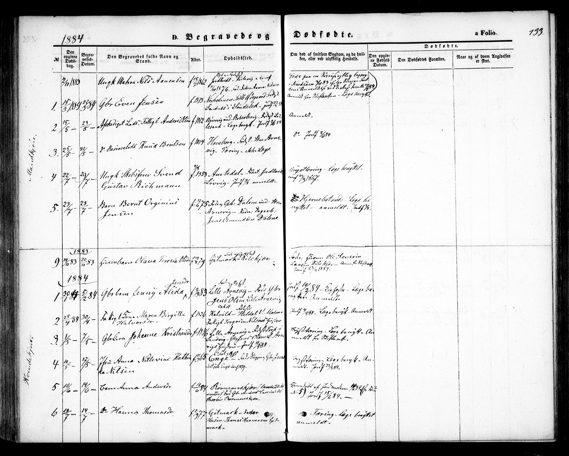 Hommedal sokneprestkontor, SAK/1111-0023/F/Fa/Faa/L0002: Parish register (official) no. A 2, 1861-1884, p. 133