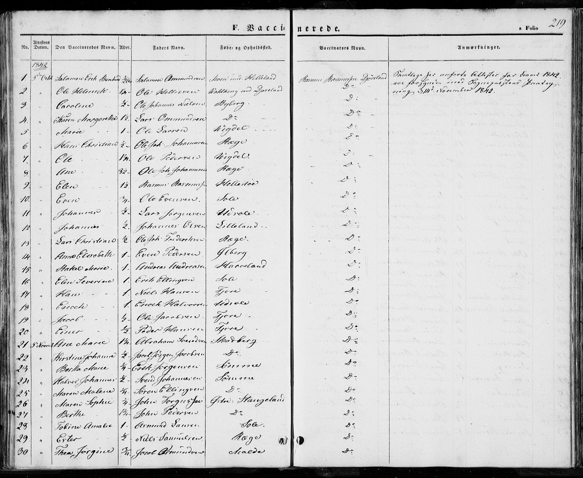 Håland sokneprestkontor, SAST/A-101802/001/30BA/L0006: Parish register (official) no. A 6, 1842-1853, p. 219