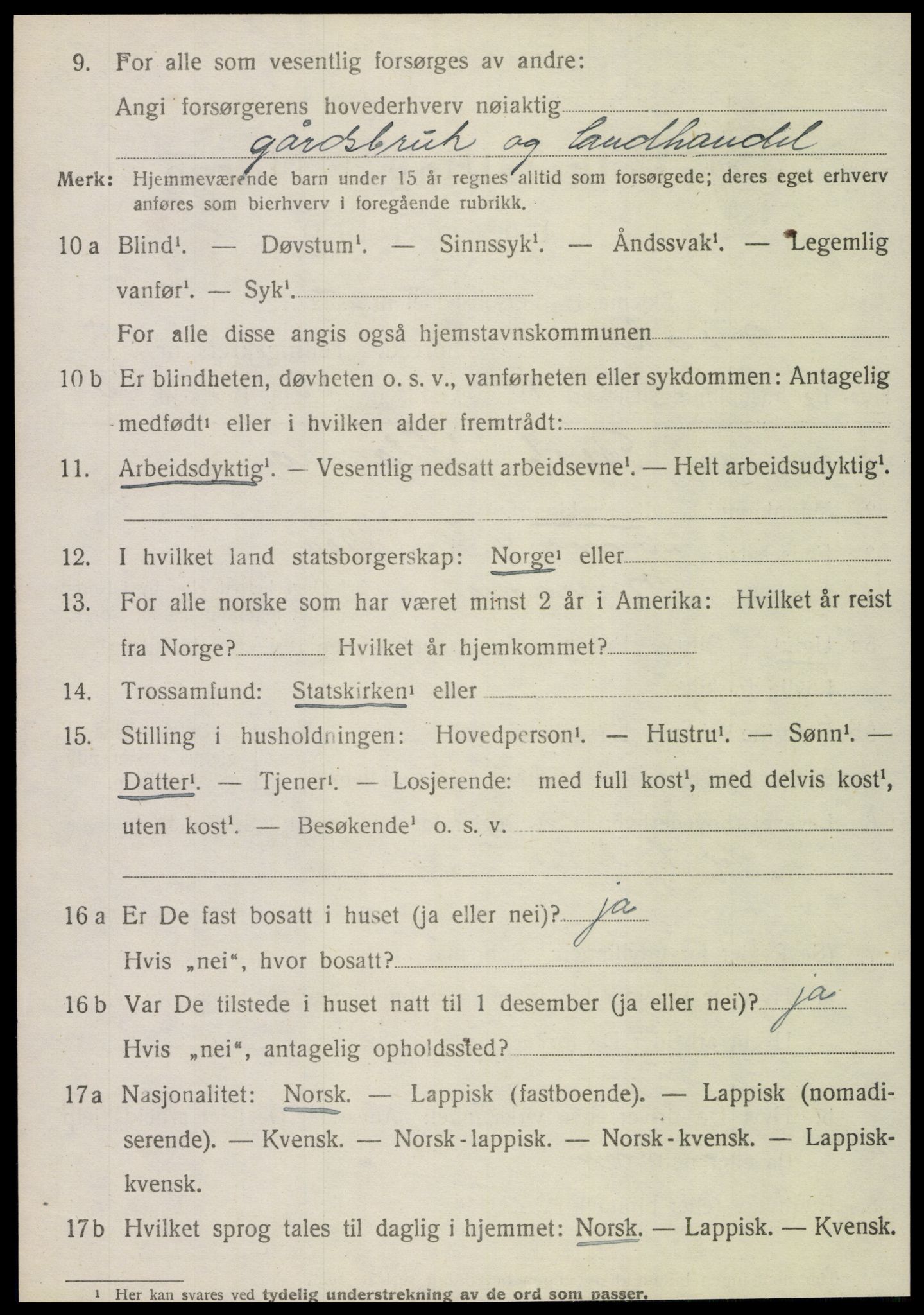 SAT, 1920 census for Meråker, 1920, p. 4041