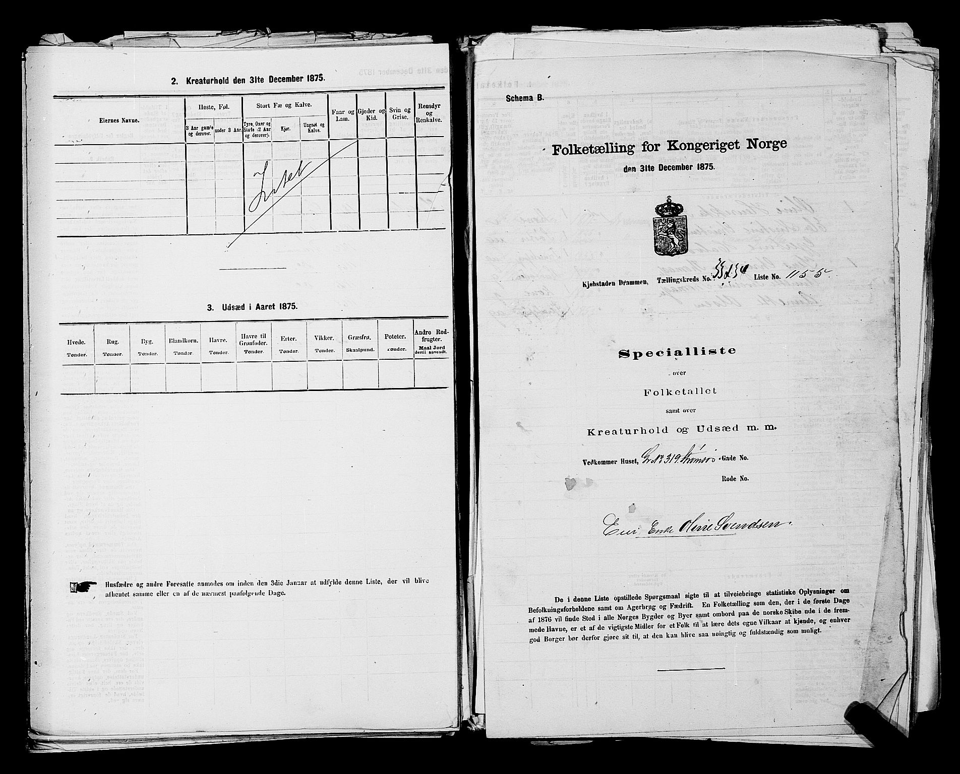 SAKO, 1875 census for 0602 Drammen, 1875, p. 3055