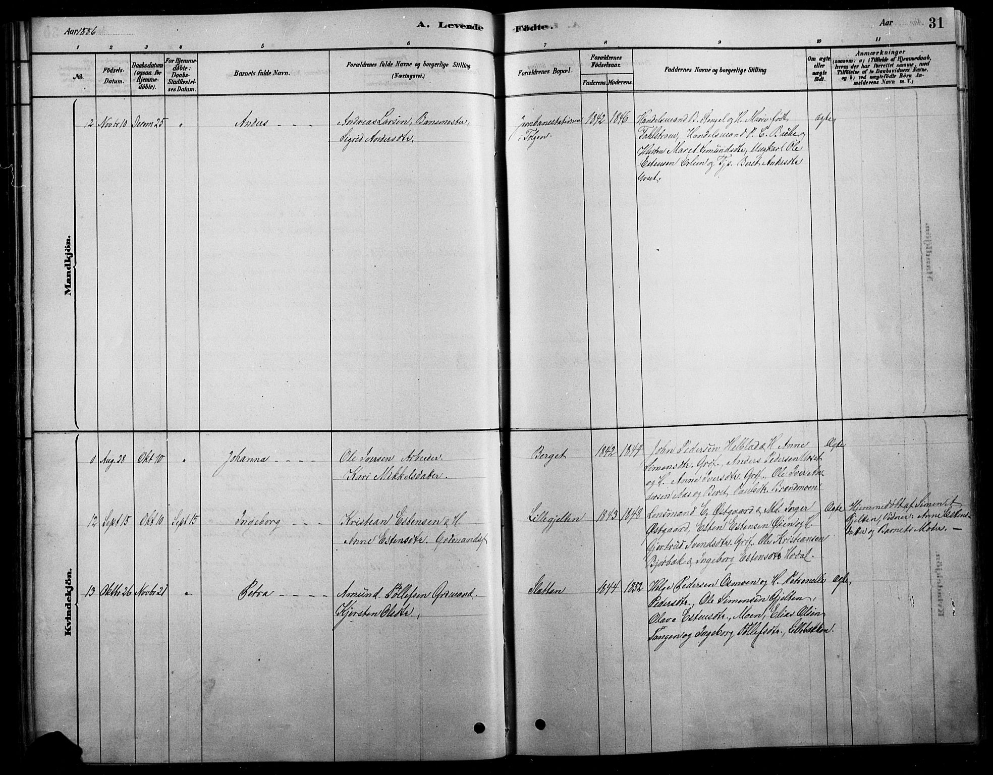 Tolga prestekontor, SAH/PREST-062/L/L0007: Parish register (copy) no. 7, 1878-1919, p. 31