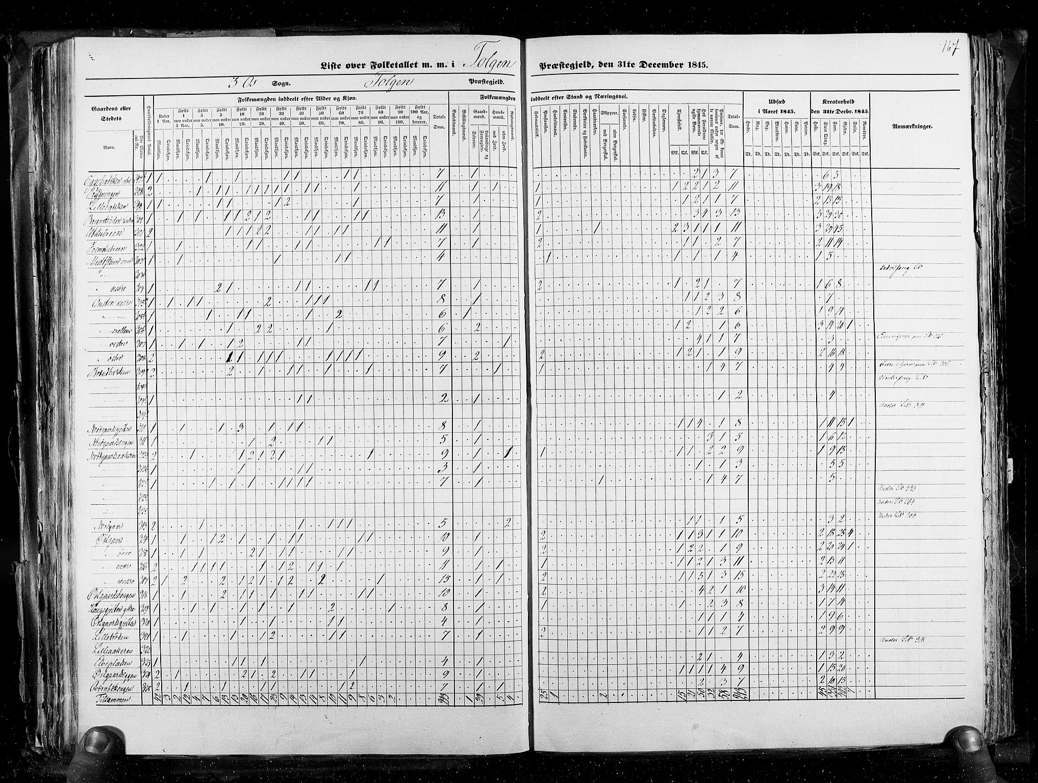 RA, Census 1845, vol. 3: Hedemarken amt og Kristians amt, 1845, p. 167