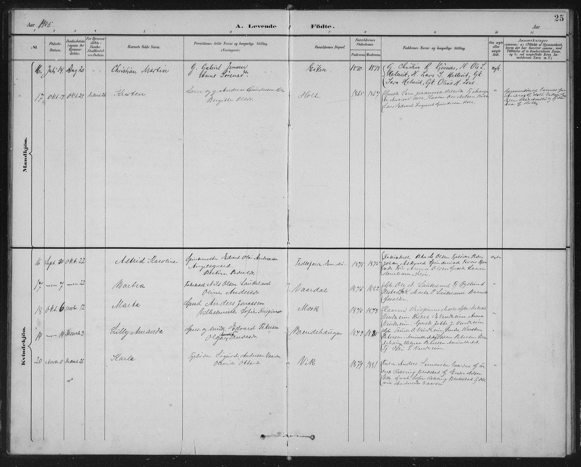 Fjaler sokneprestembete, AV/SAB-A-79801/H/Hab/Habb/L0002: Parish register (copy) no. B 2, 1895-1915, p. 25