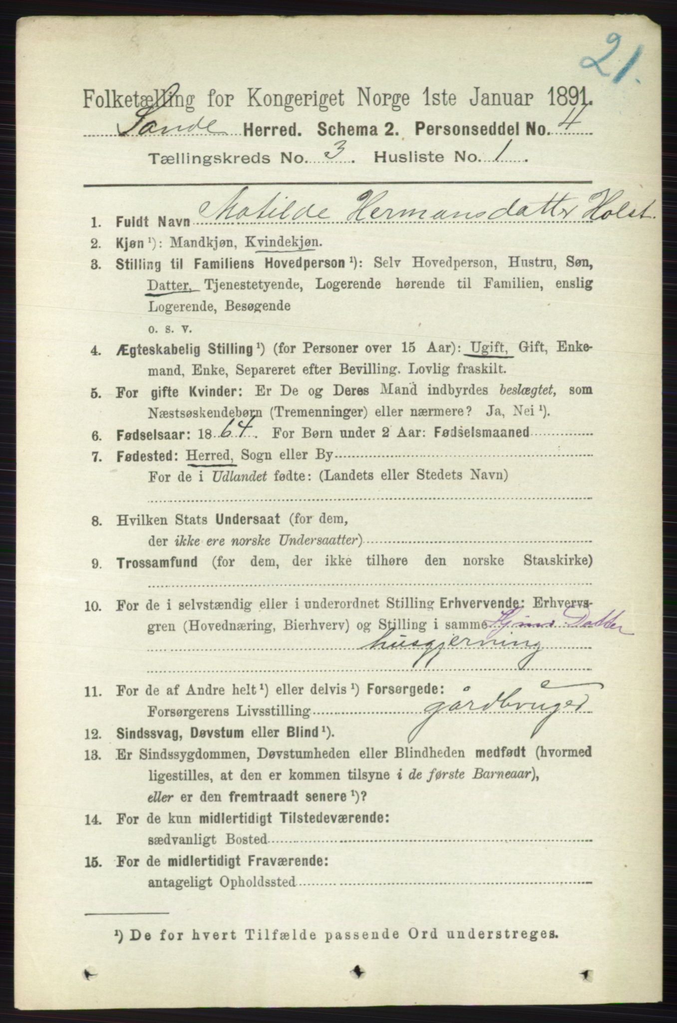 RA, 1891 census for 0713 Sande, 1891, p. 942