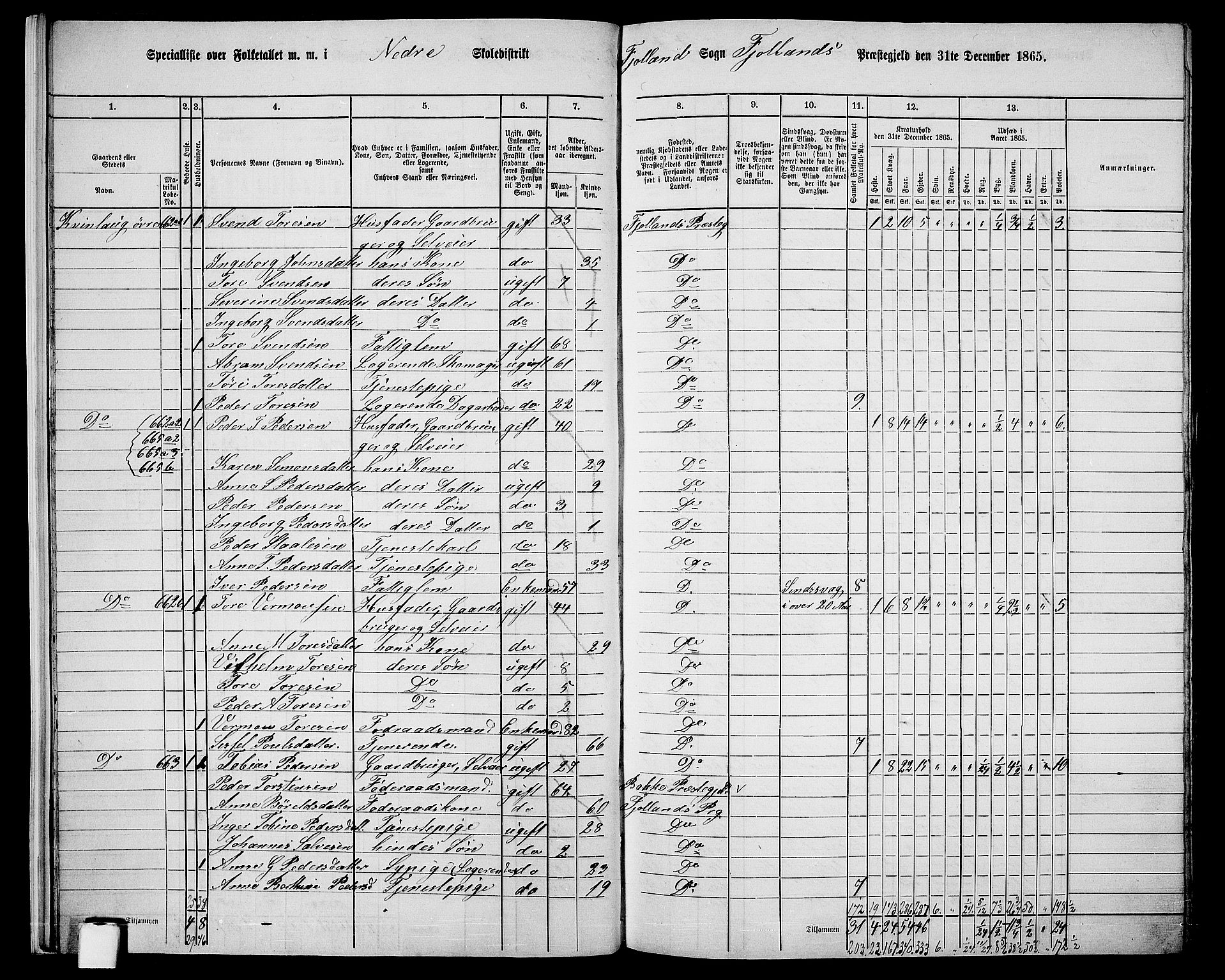 RA, 1865 census for Fjotland, 1865, p. 17