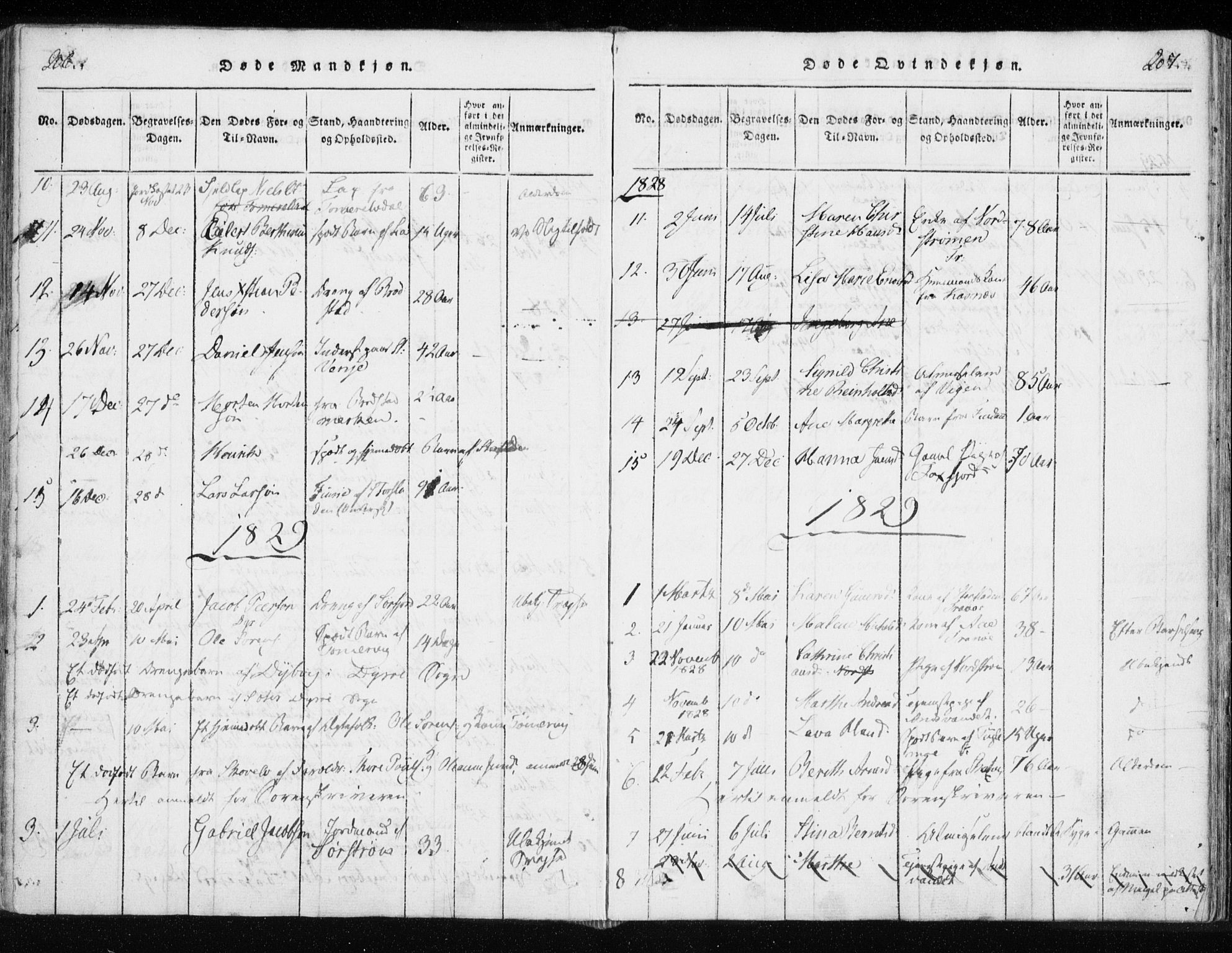 Tranøy sokneprestkontor, SATØ/S-1313/I/Ia/Iaa/L0004kirke: Parish register (official) no. 4, 1820-1829, p. 206-207