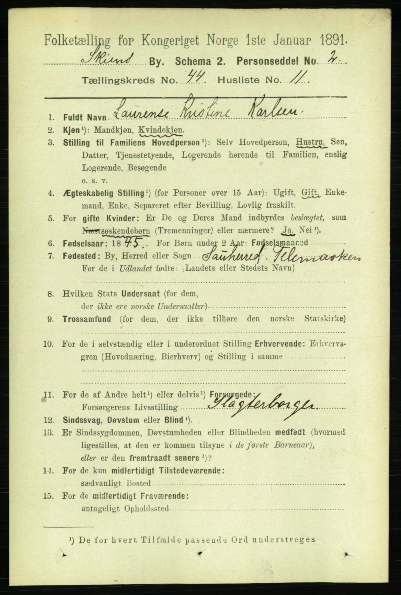 RA, 1891 census for 0806 Skien, 1891, p. 8890