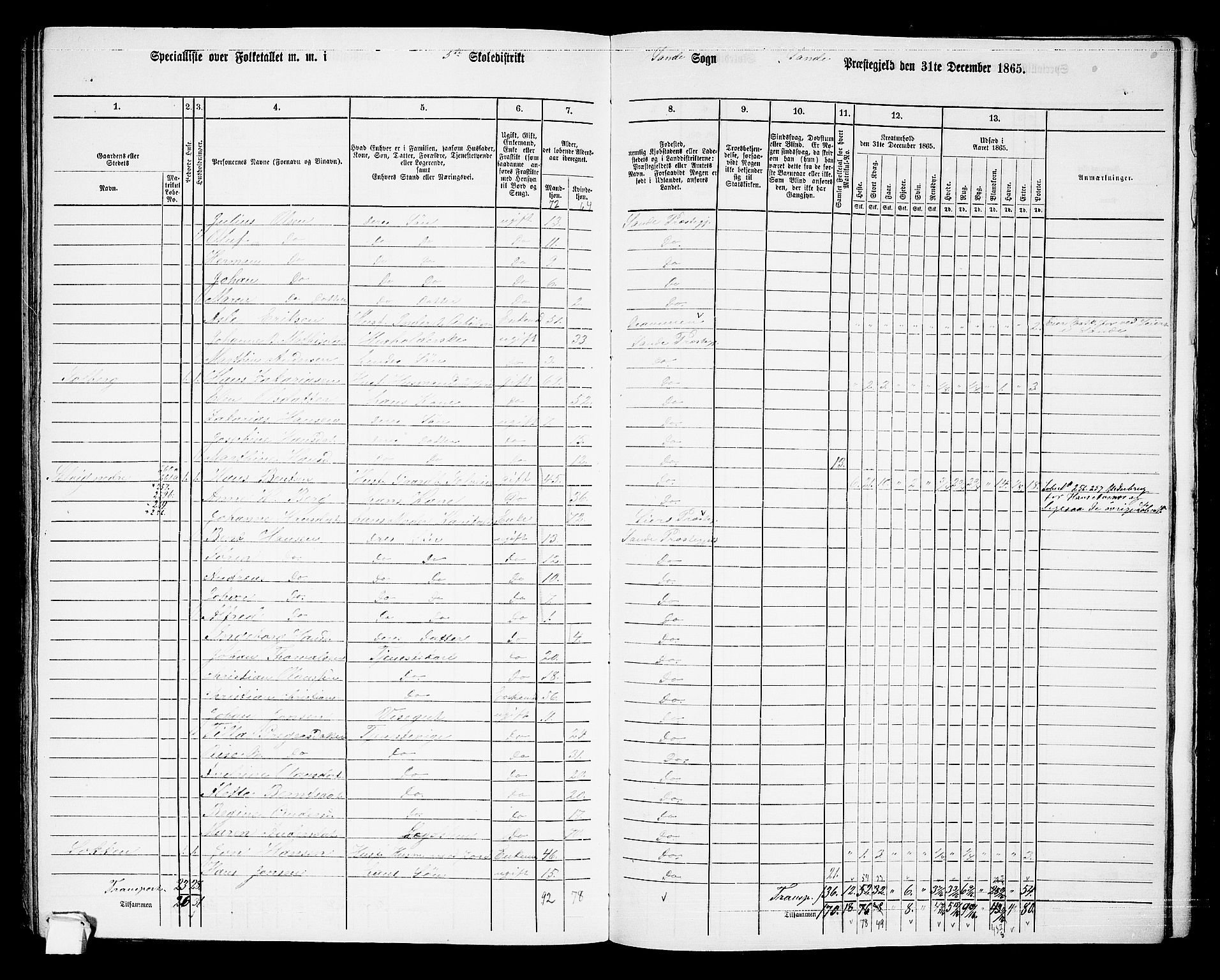 RA, 1865 census for Sande, 1865, p. 117