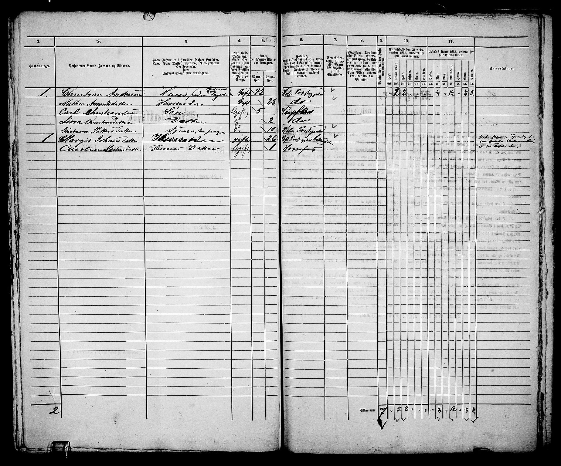 RA, 1865 census for Norderhov/Hønefoss, 1865, p. 313