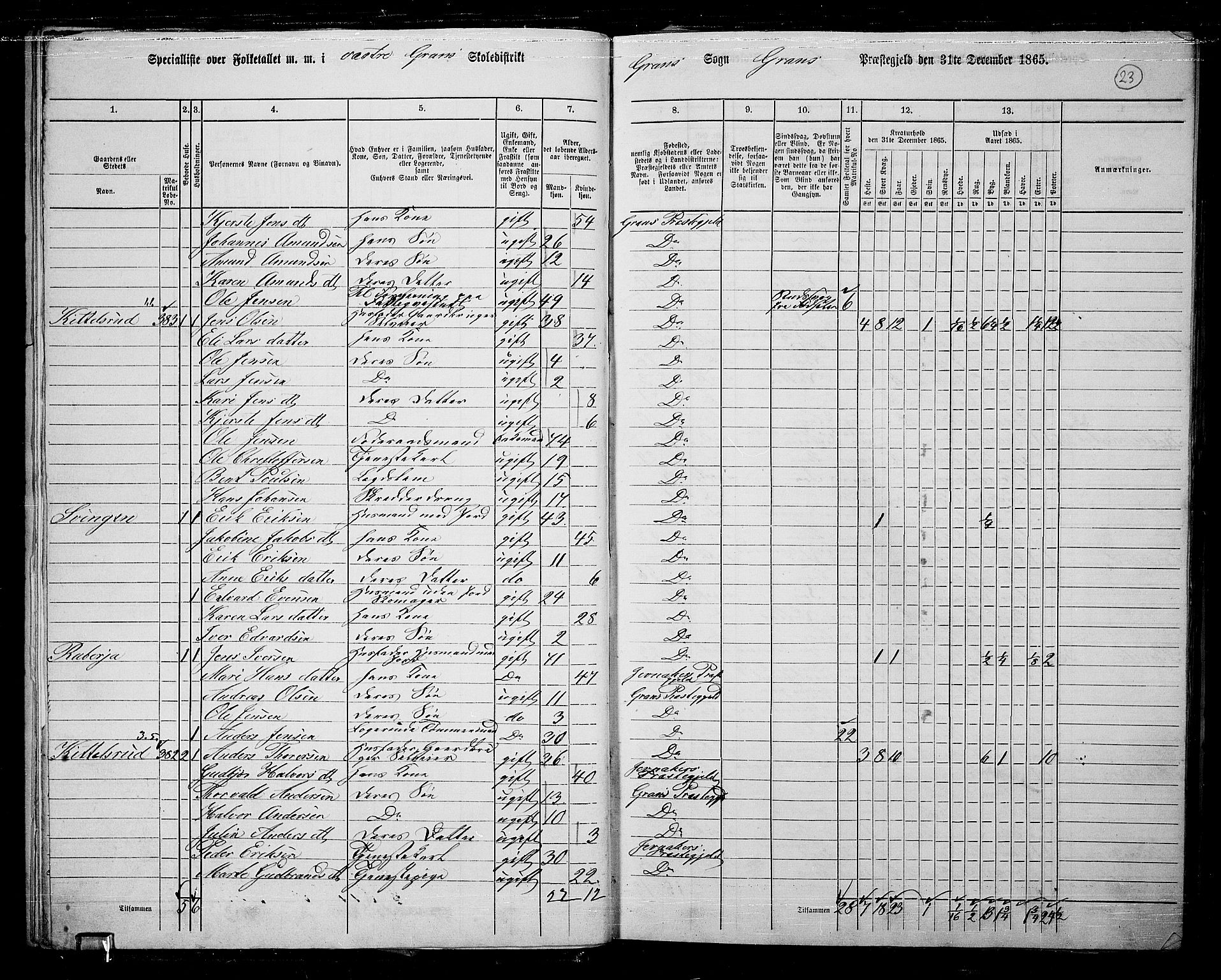 RA, 1865 census for Gran, 1865, p. 20