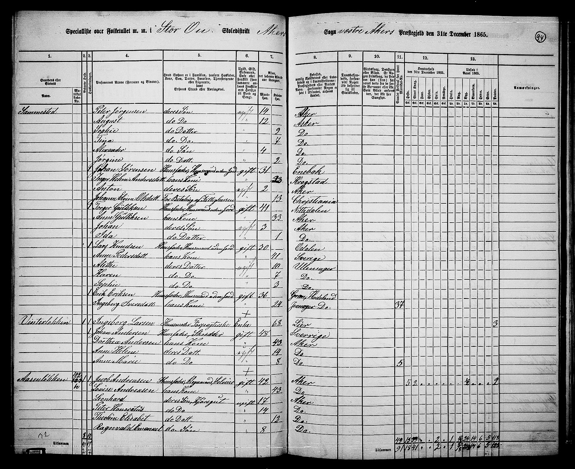 RA, 1865 census for Vestre Aker, 1865, p. 262