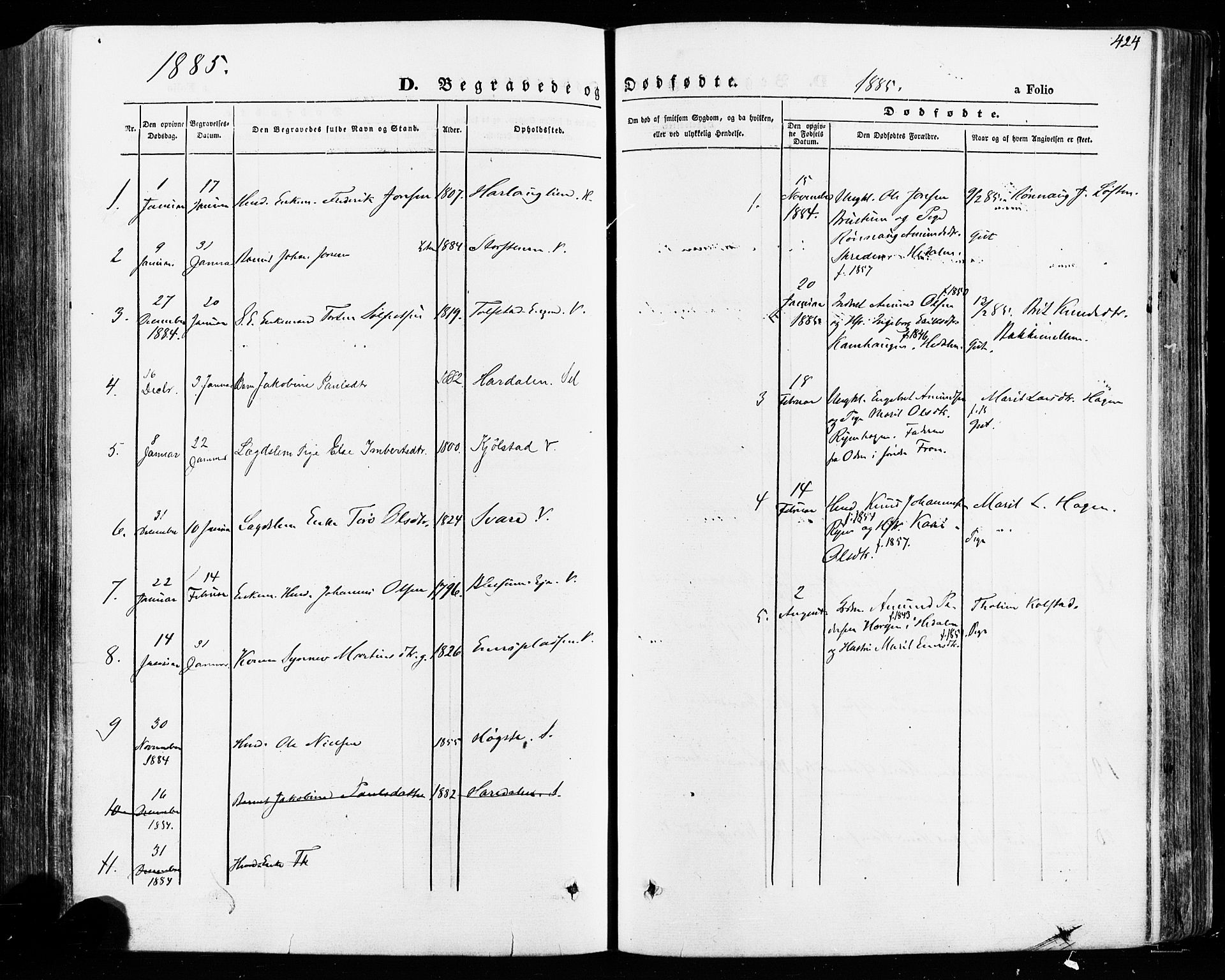 Vågå prestekontor, SAH/PREST-076/H/Ha/Haa/L0007: Parish register (official) no. 7 /1, 1872-1886, p. 424