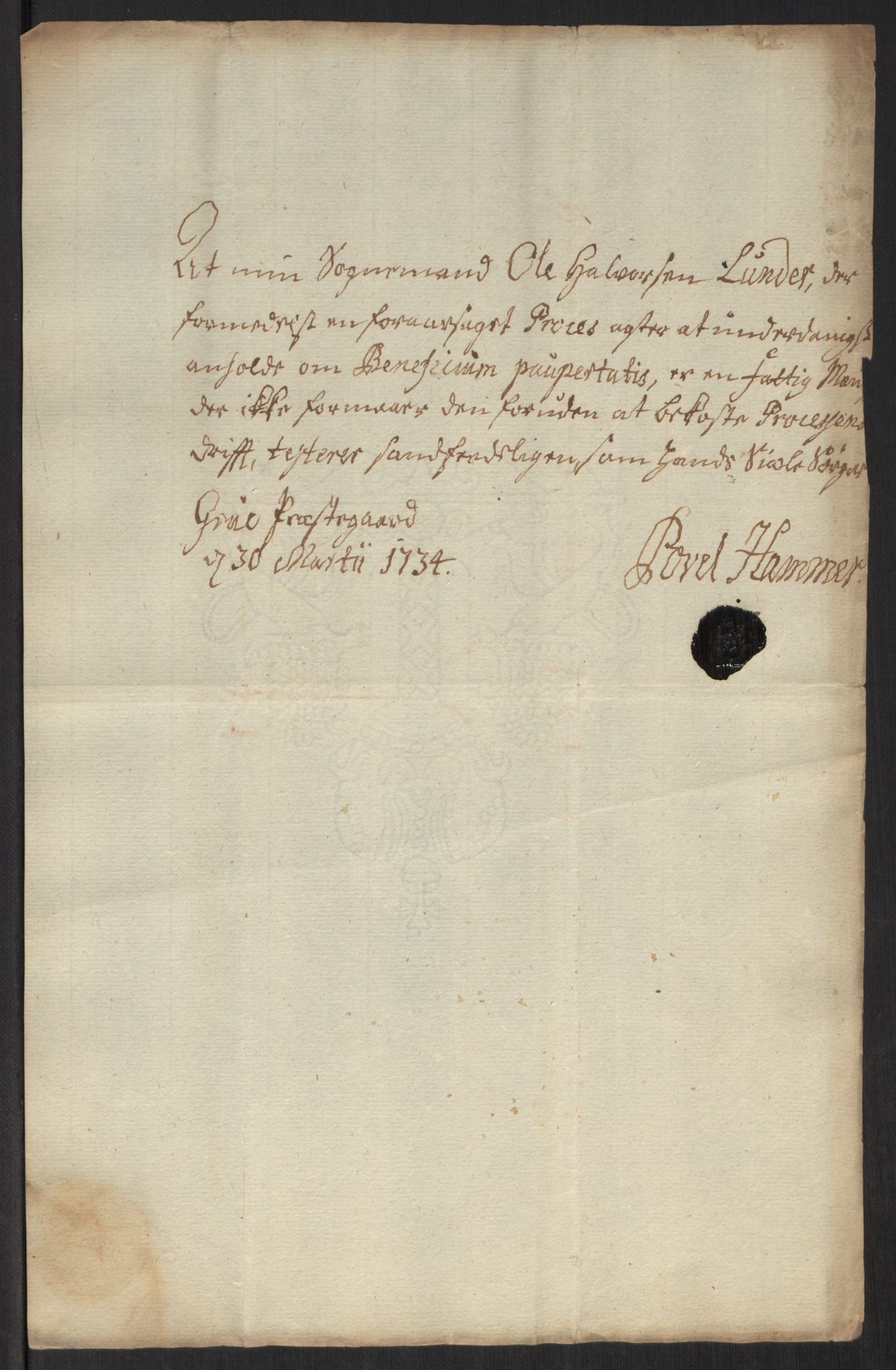 Stattholderembetet 1572-1771, AV/RA-EA-2870/Ef/L0107: Brev fra embetsmenn og andre, 1733-1734, p. 221